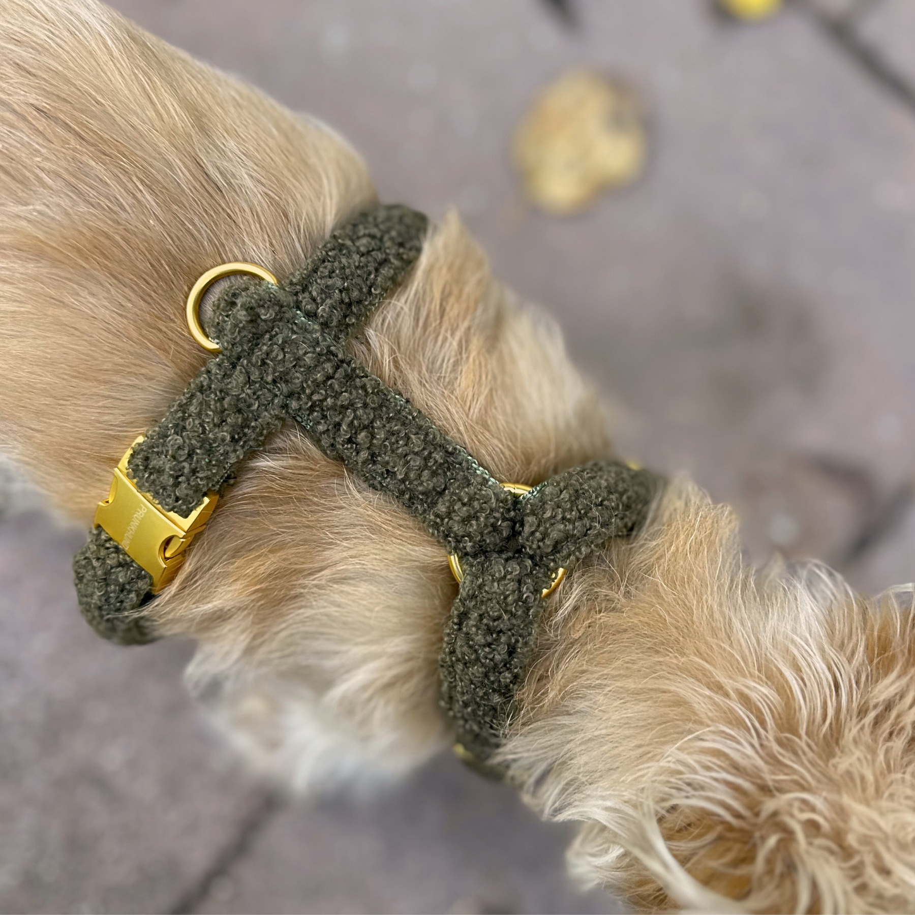 dog harness TEDDY tan