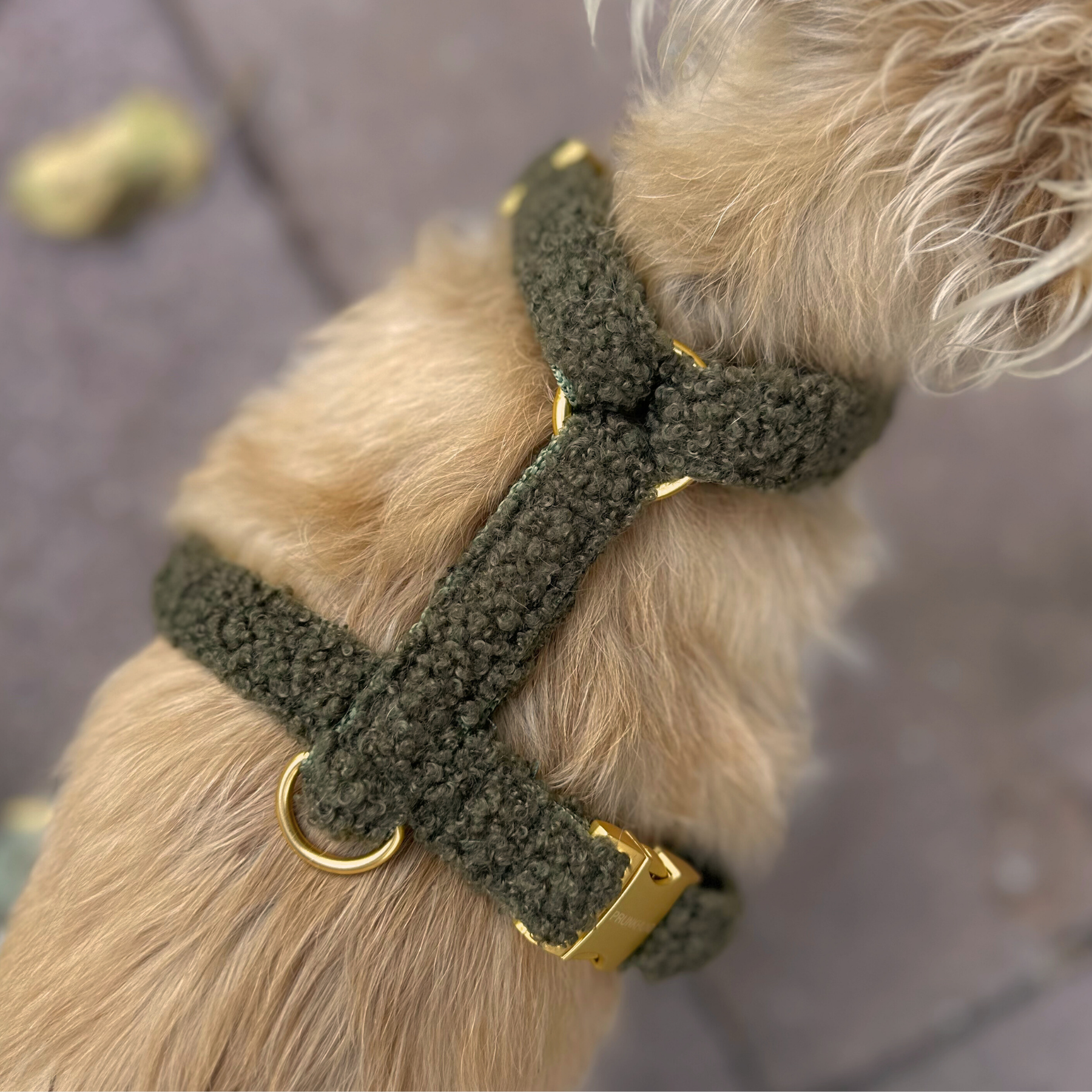 dog harness TEDDY tan