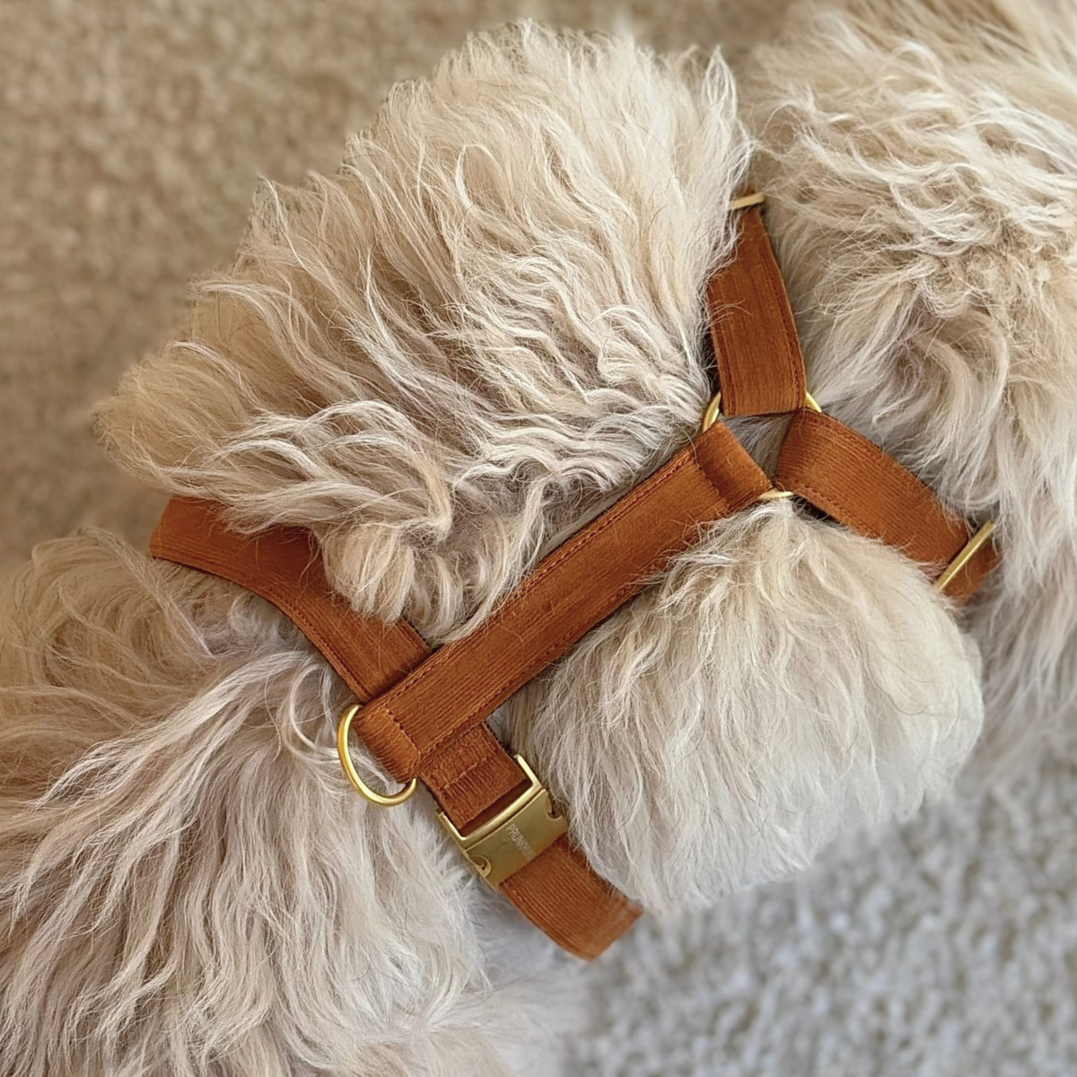 Dog harness WILD LIFE