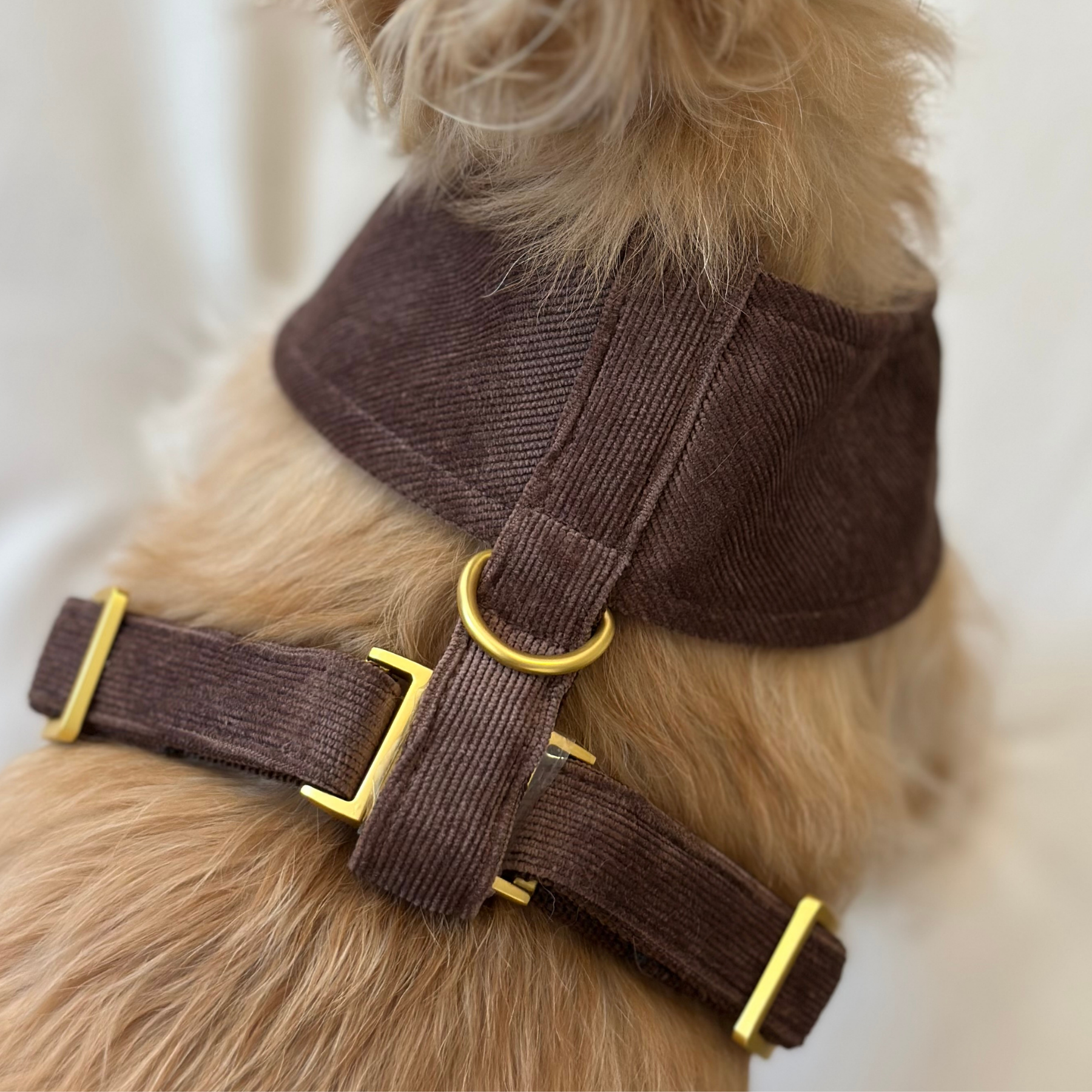 WINDSOR SOFT HARNESS