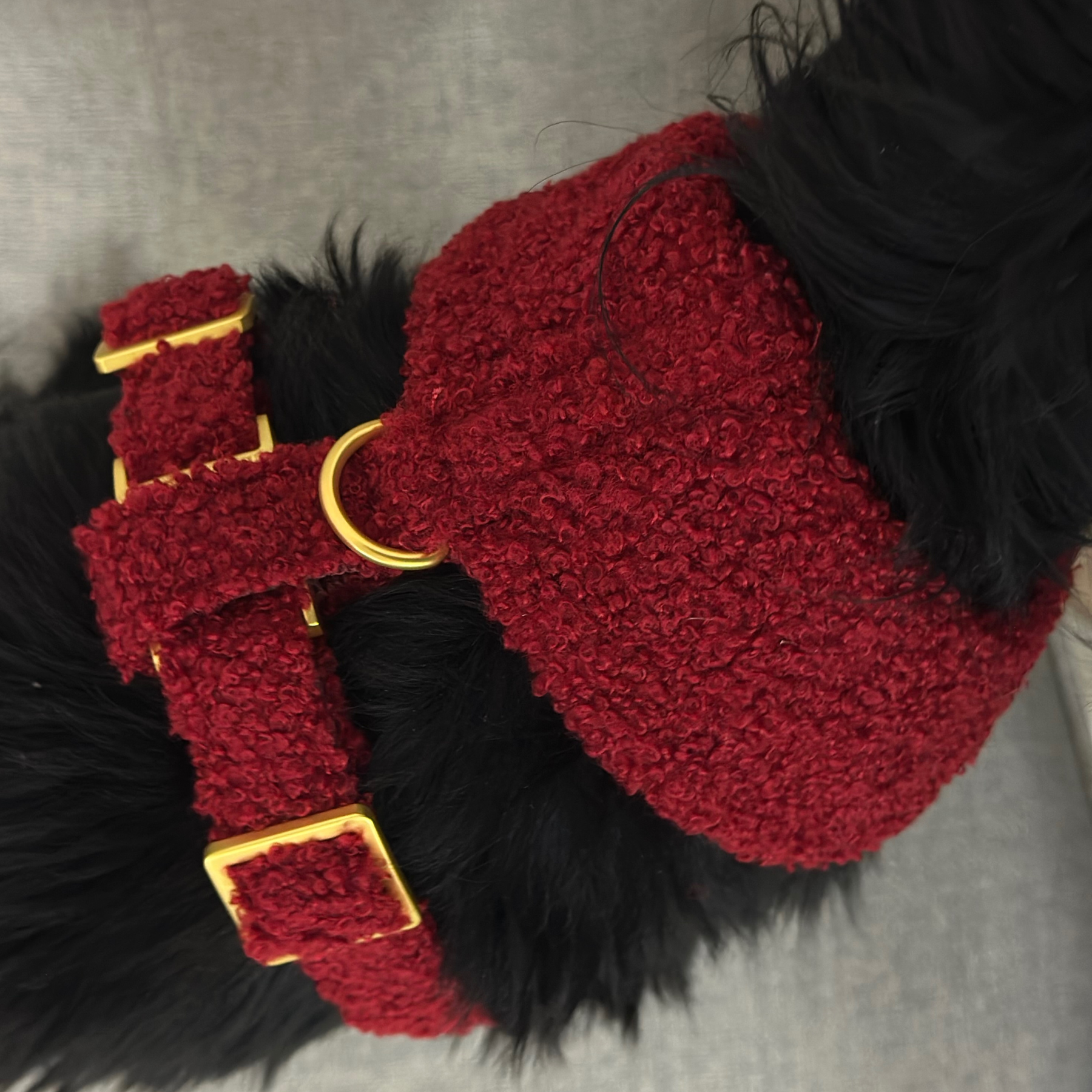 Softgeschirr TEDDY wine