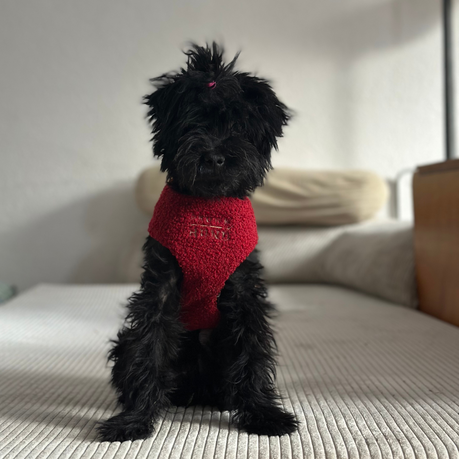 TEDDY tan soft harness