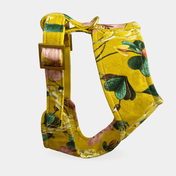 soft harness BLOSSOM