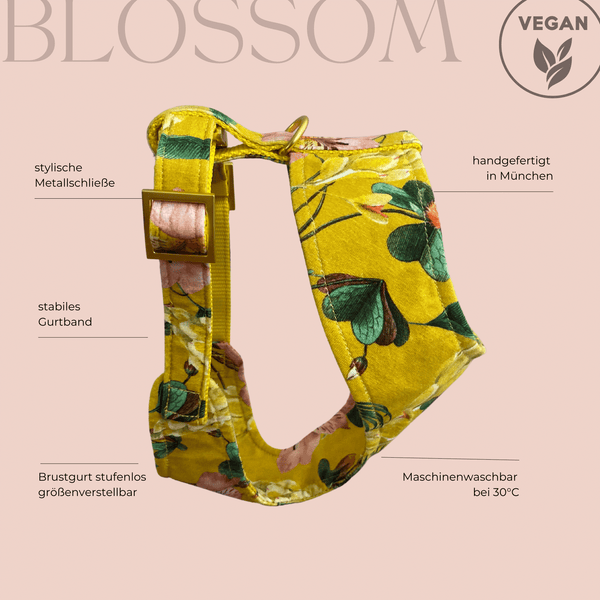 soft harness BLOSSOM