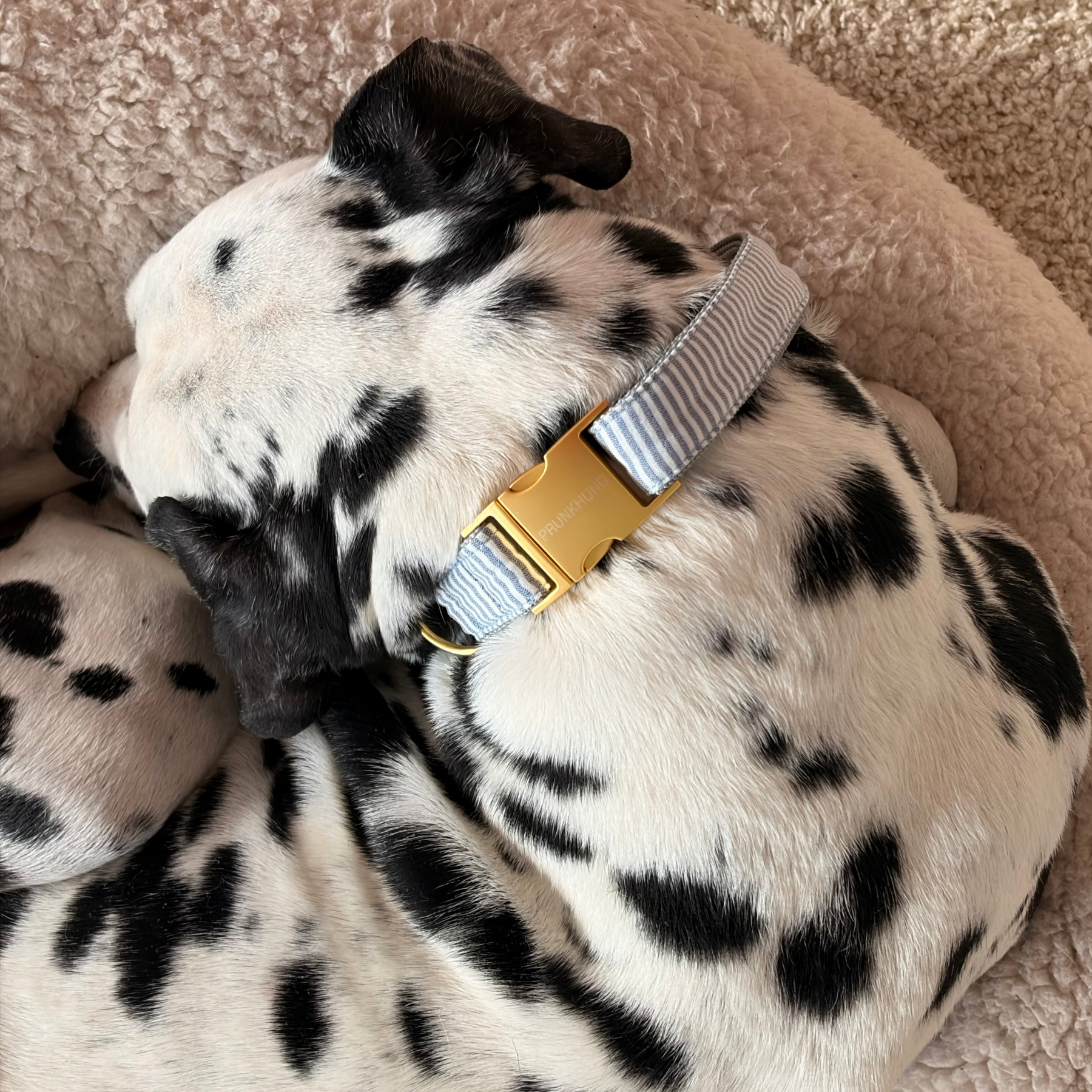 Halsband RIVIERA blue