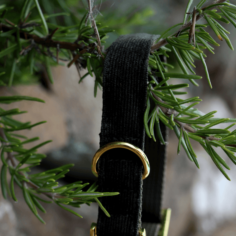Halsband FOREST.