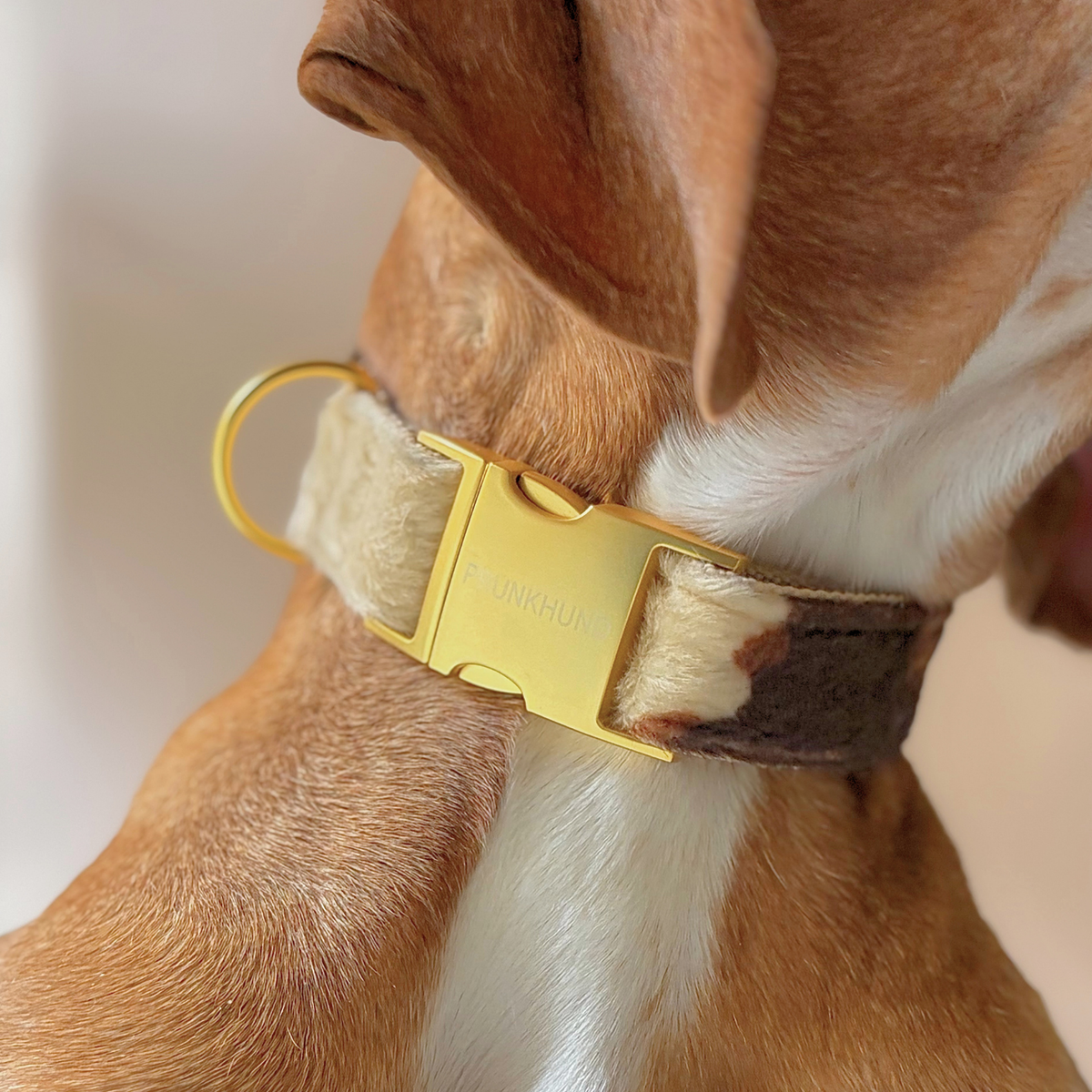 Halsband RODEO
