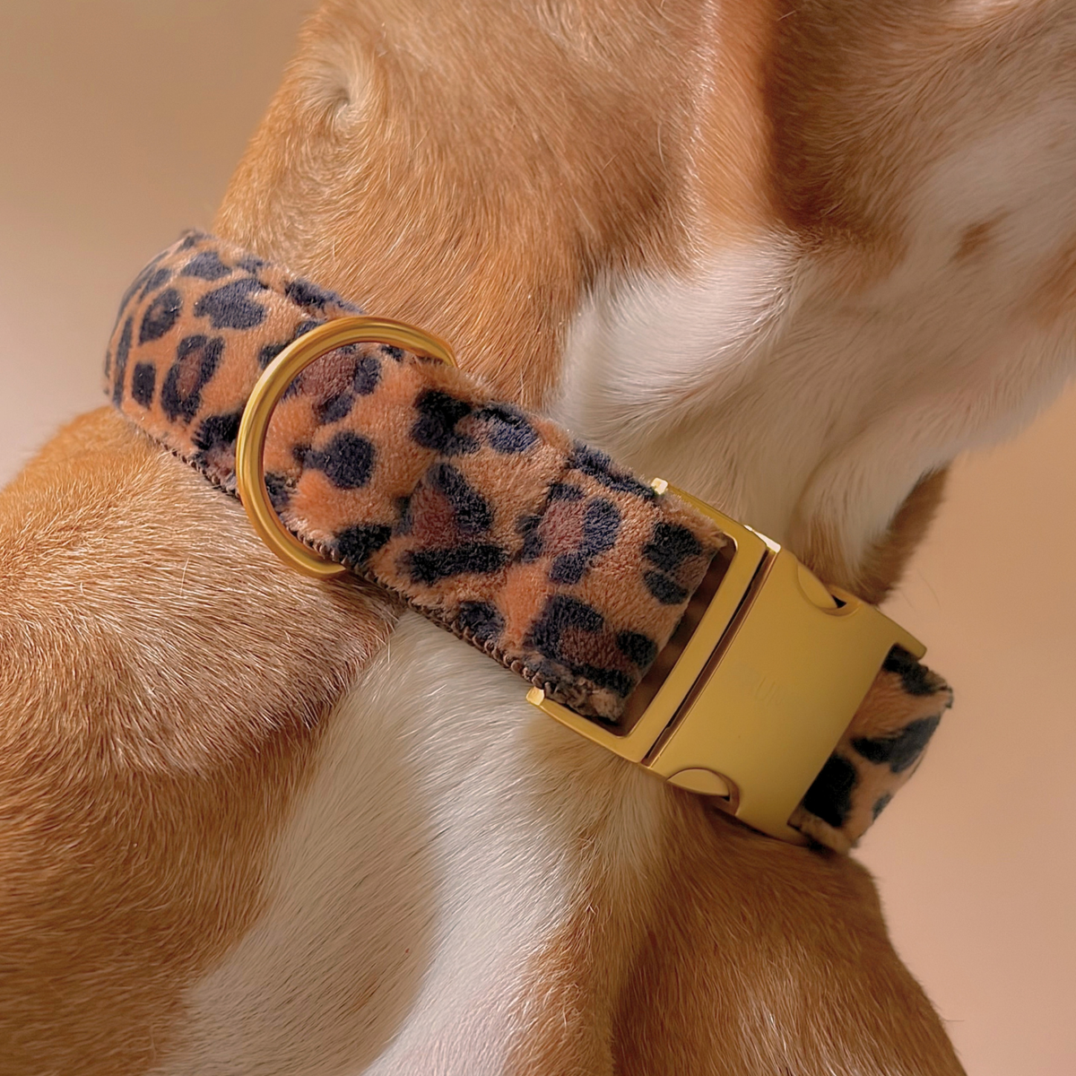 BASIC tan collar