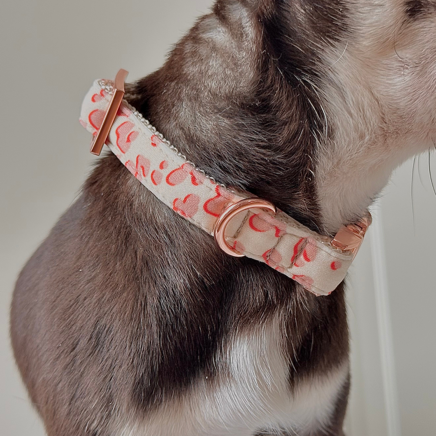 Halsband CONFETTI