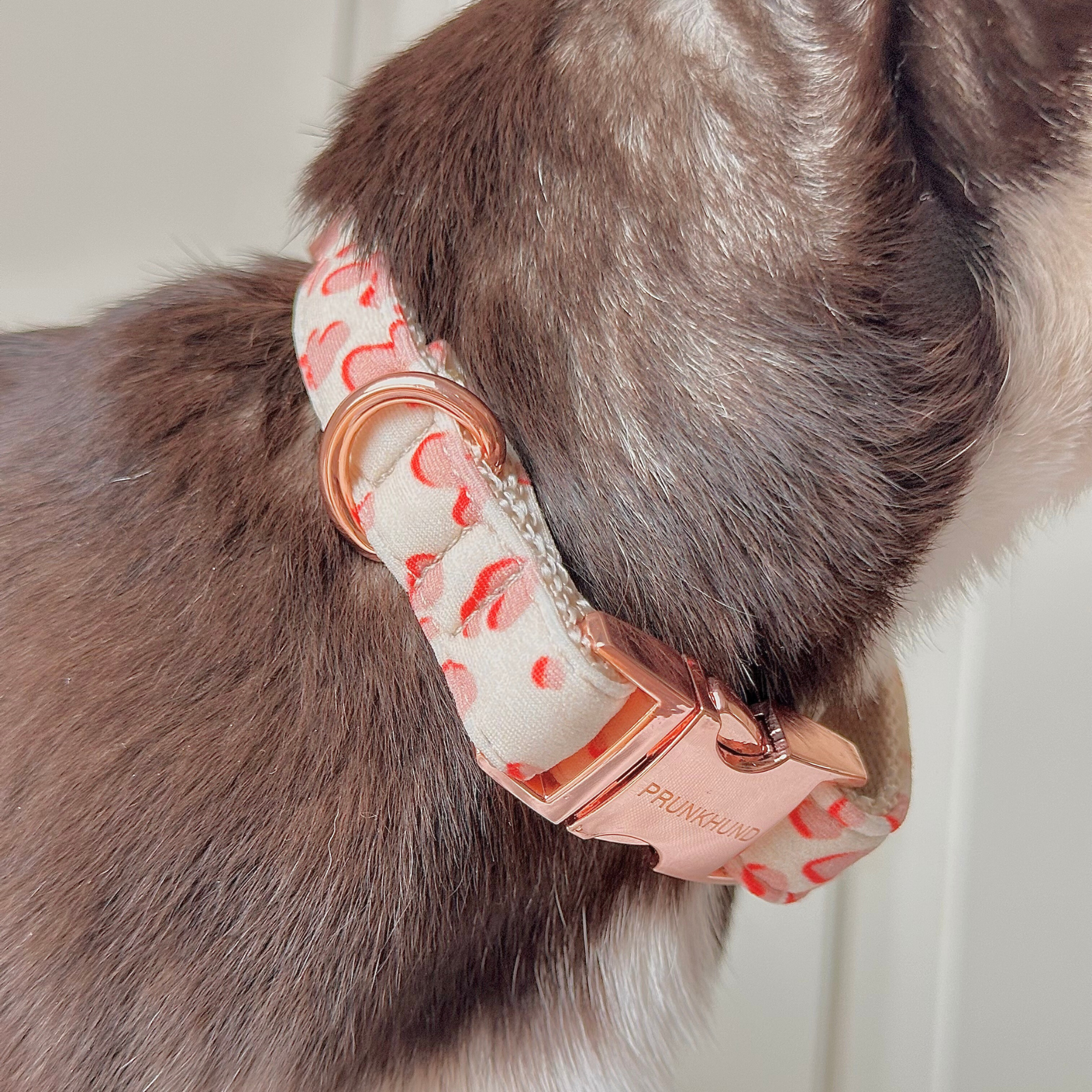 Halsband CONFETTI