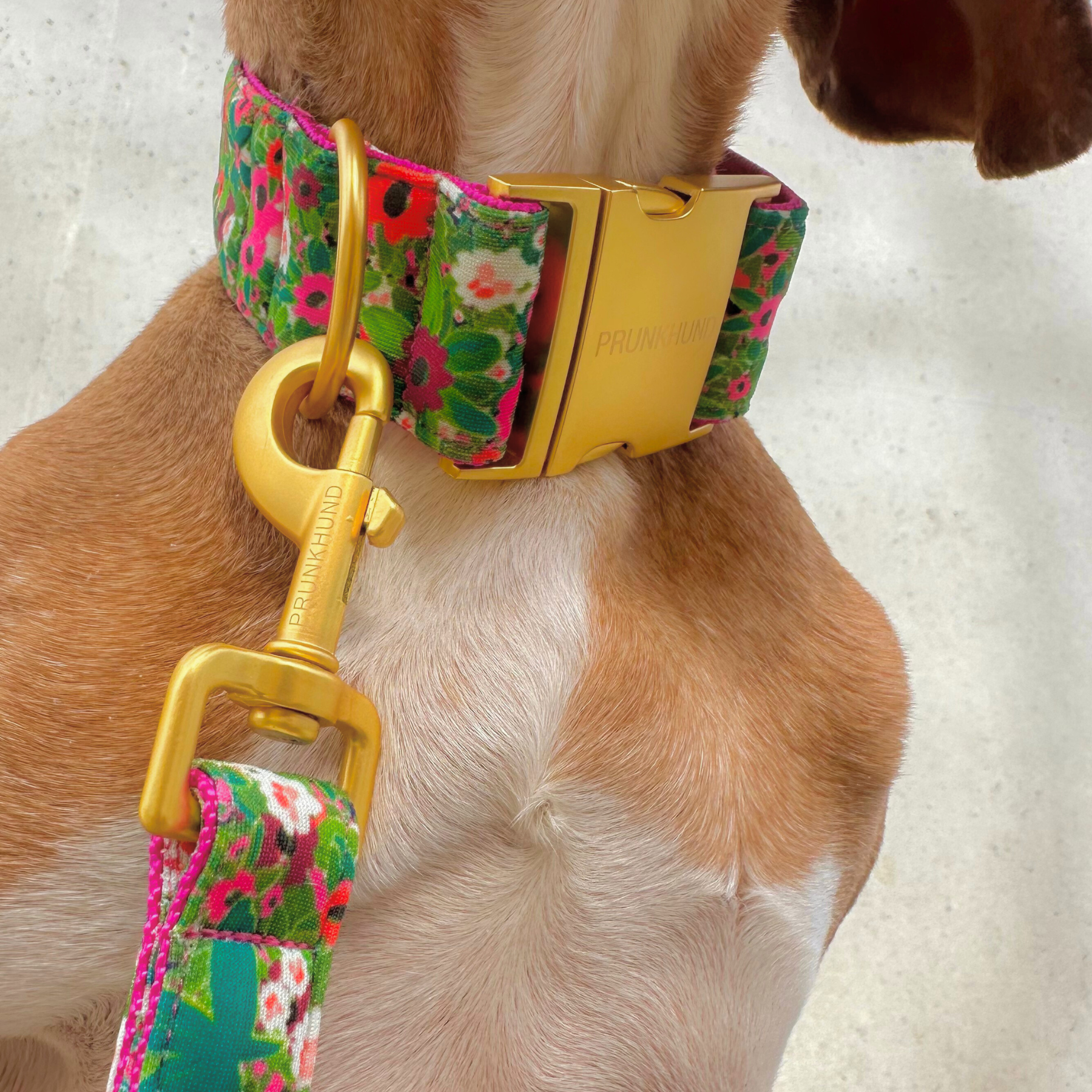 POPPY leash