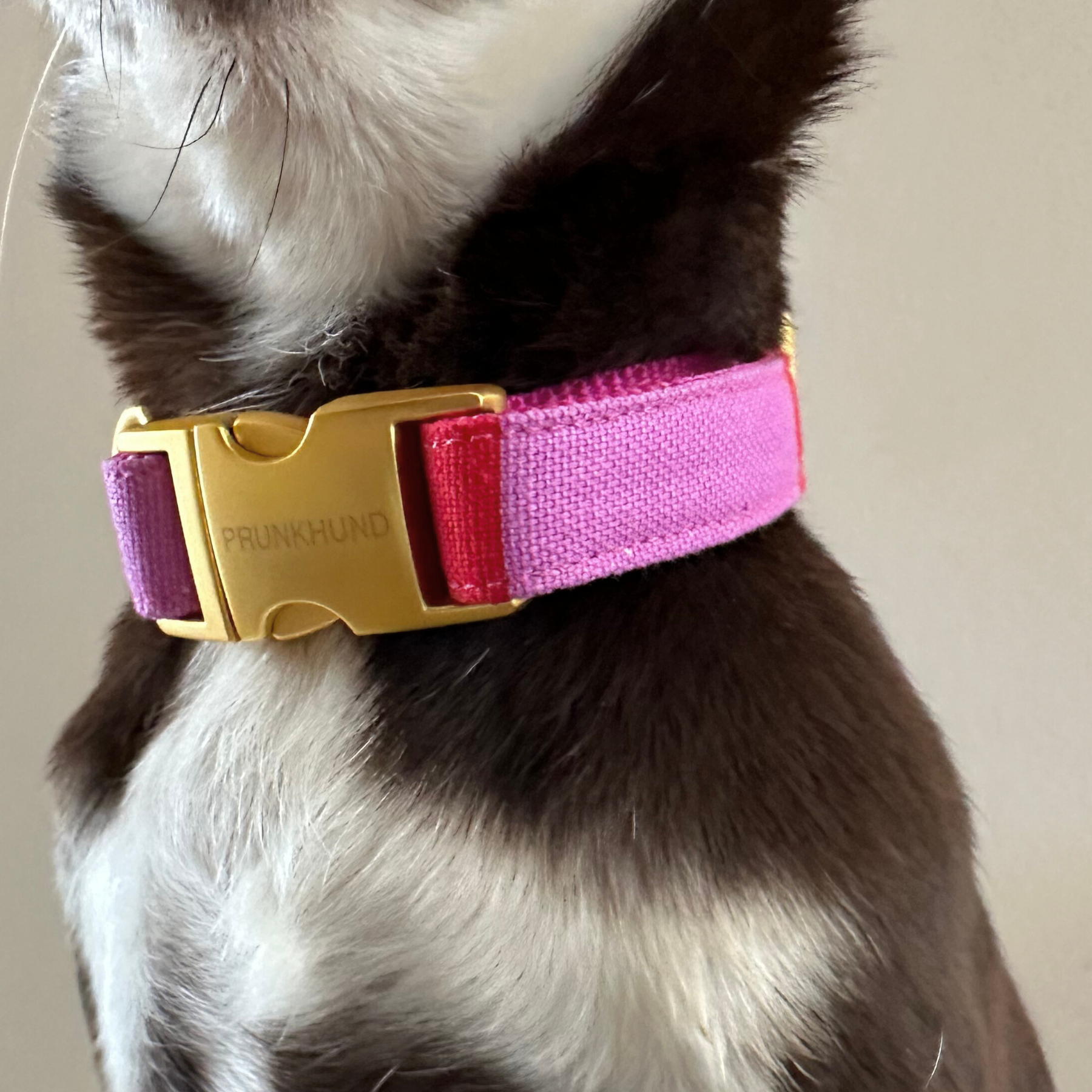 PINE collar