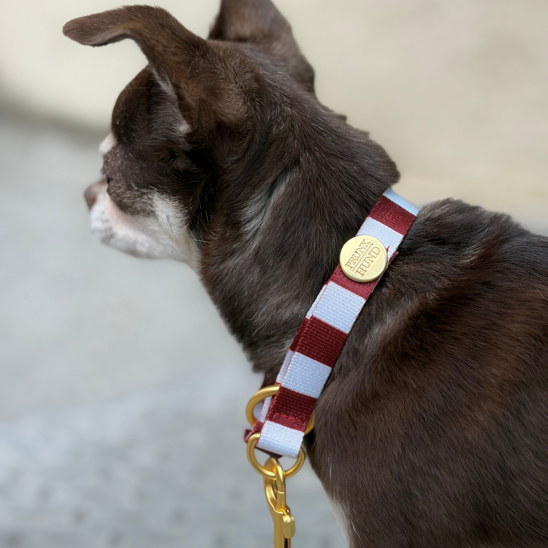 Zugstopp Halsband PORTOFINO