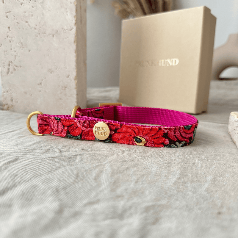 martingale collar BLOOM
