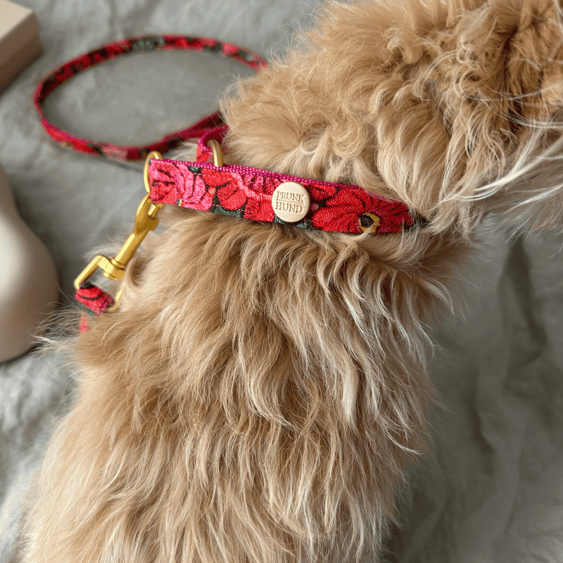 martingale collar BLOOM