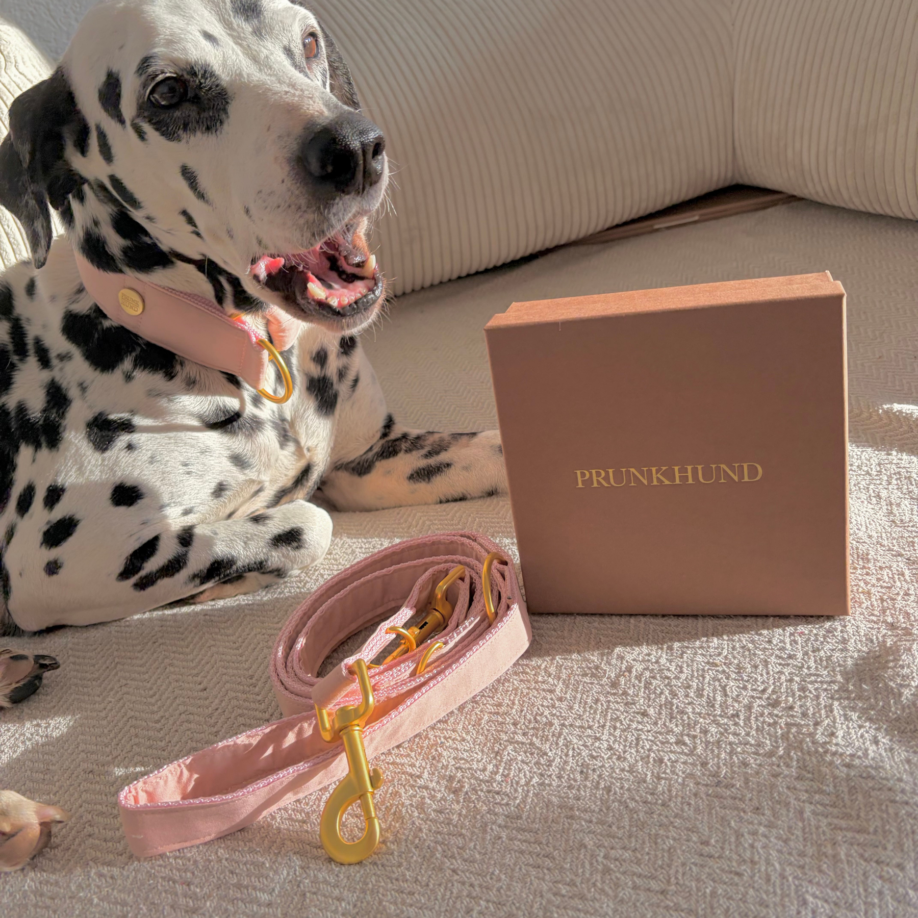 Zugstopp Halsband COTTON blush