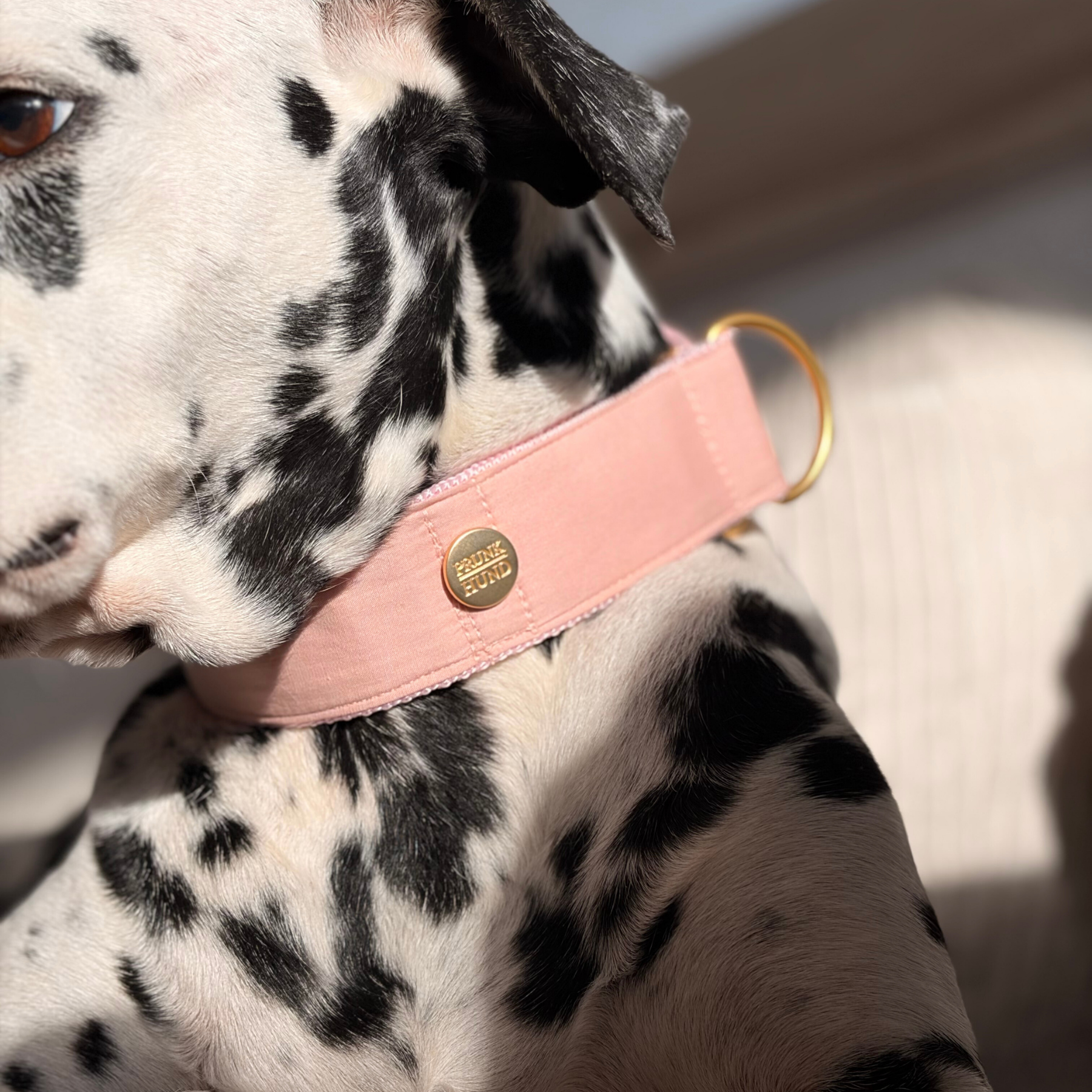 Zugstopp Halsband COTTON blush