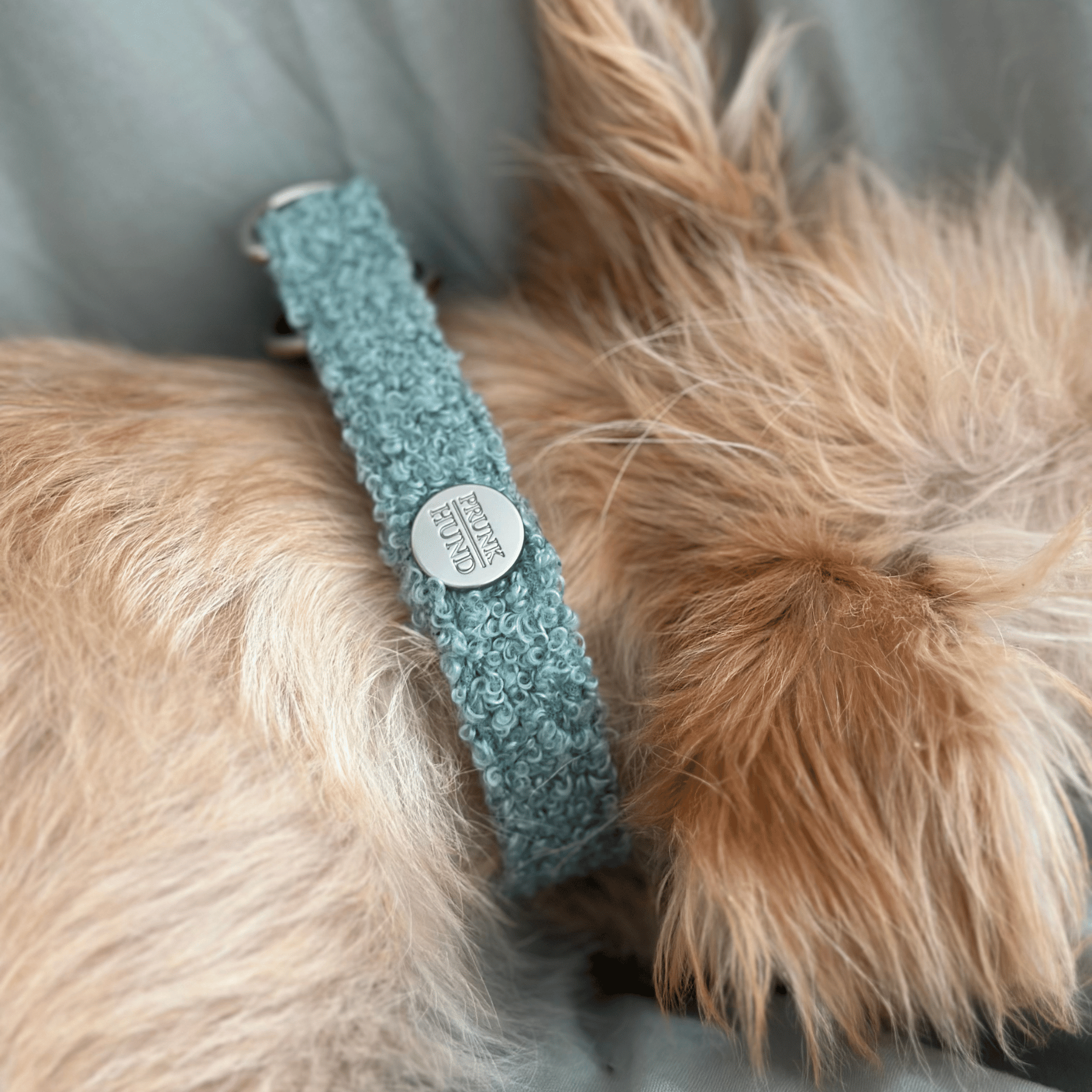 Zugstopp Halsband TEDDY mint