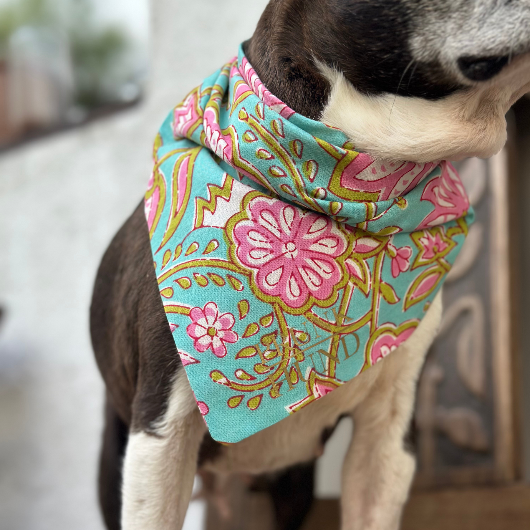 Dog bandana PORTOBELLO