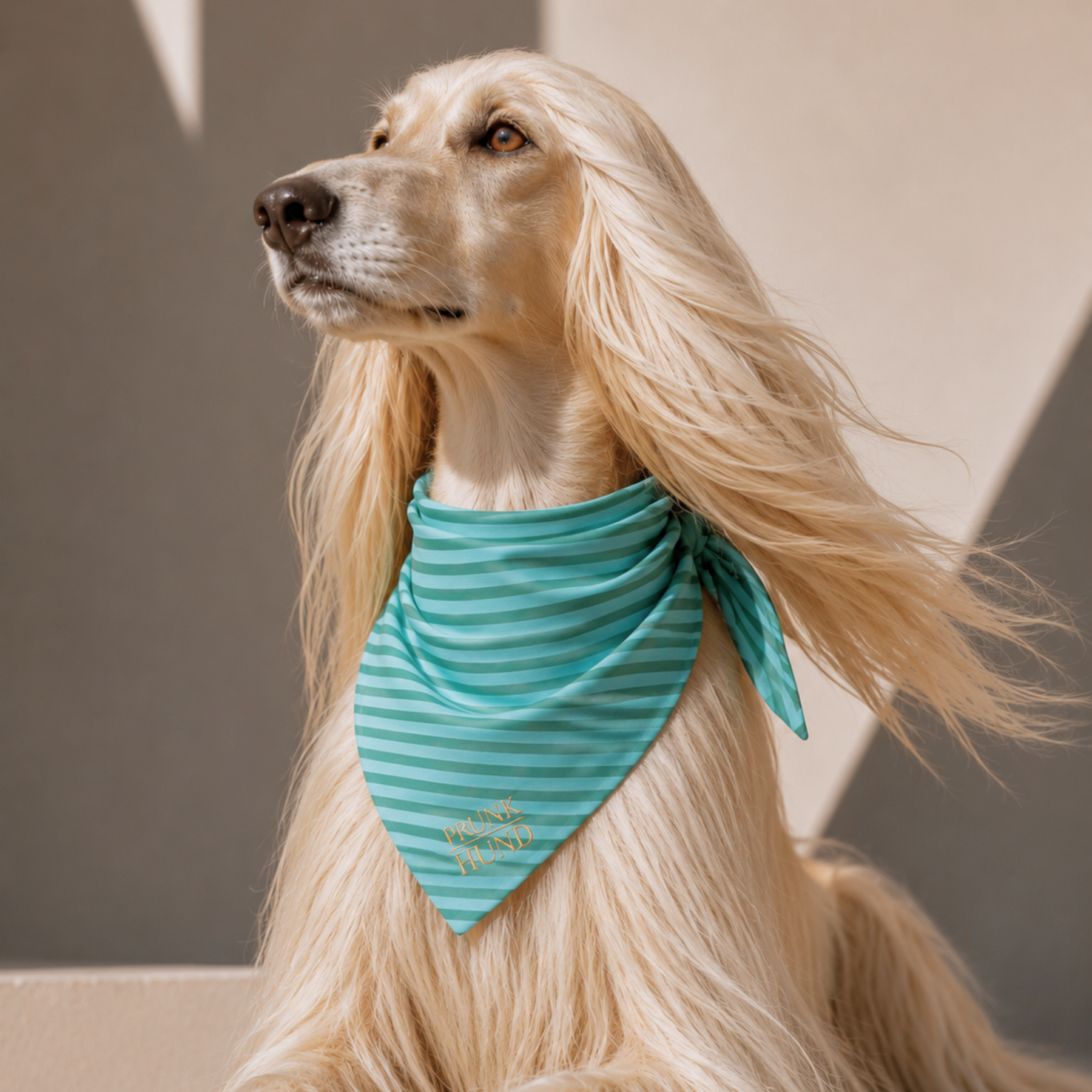 Dog bandana WILD LIFE