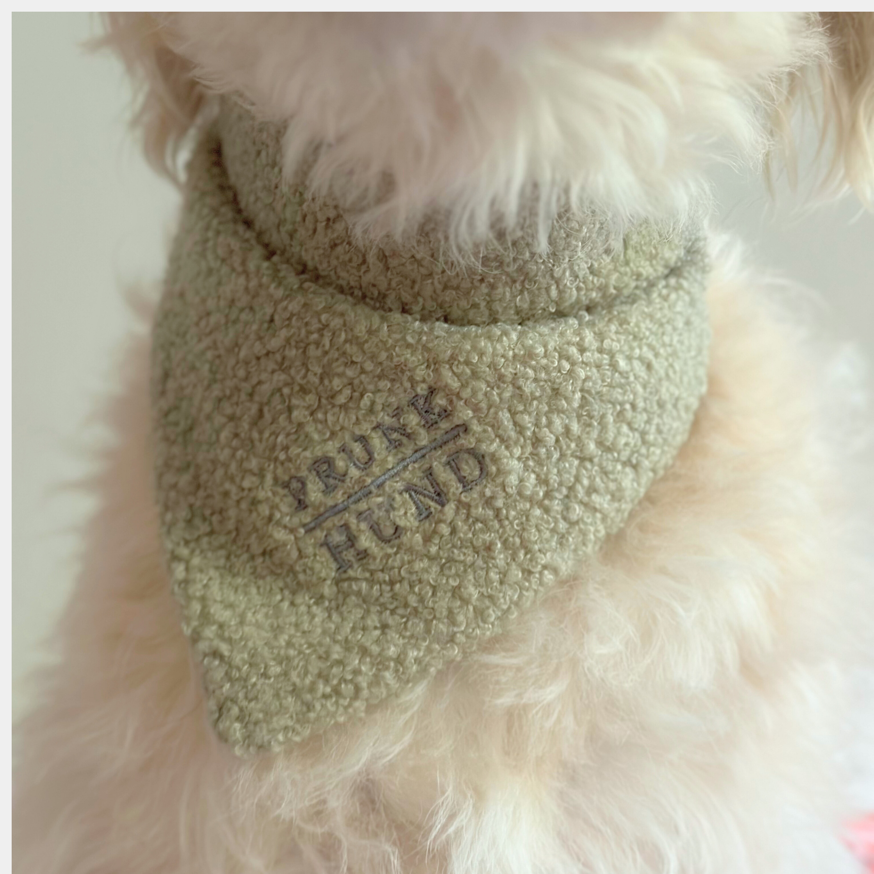 Dog bandana TEDDY tan