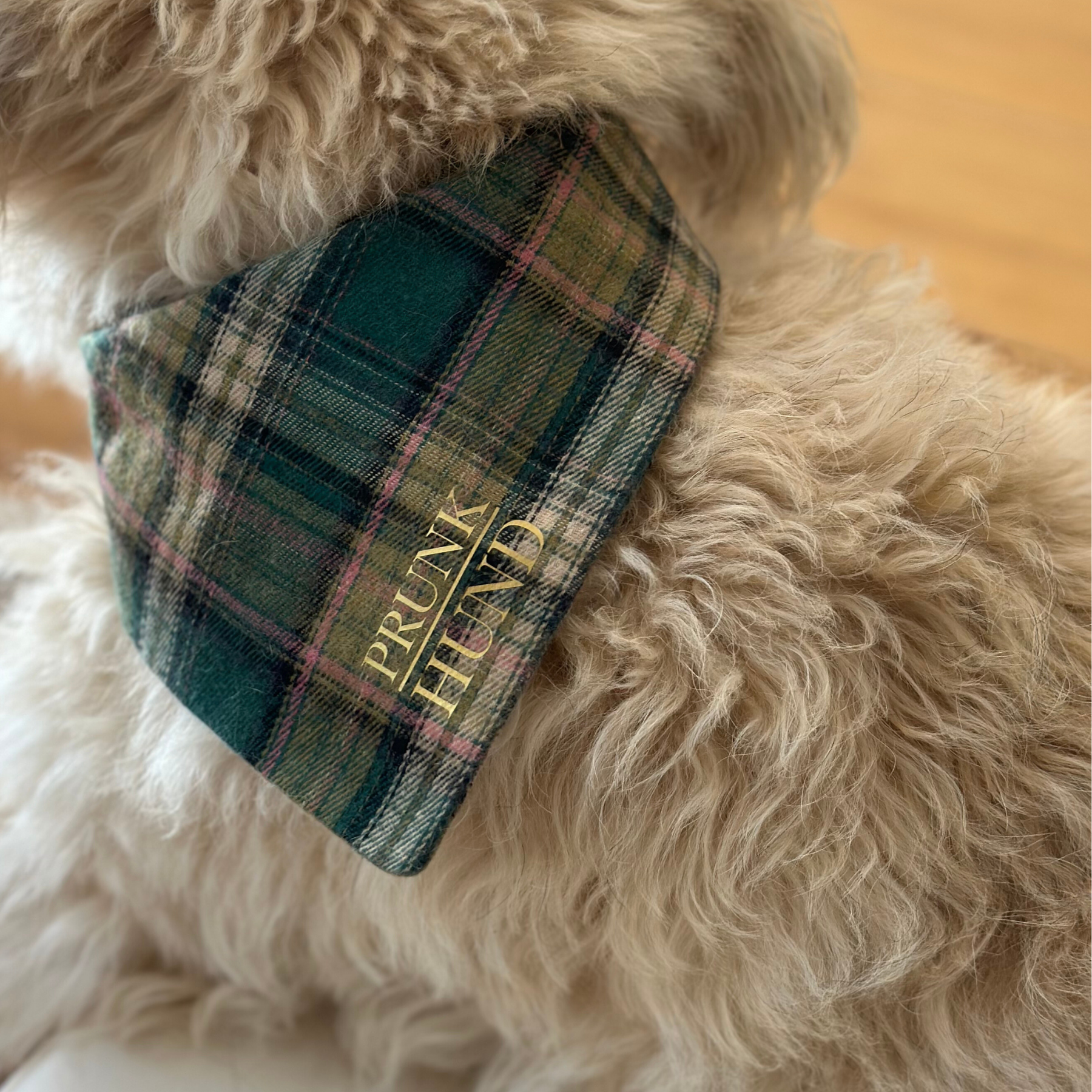 dog bandana WINDSOR