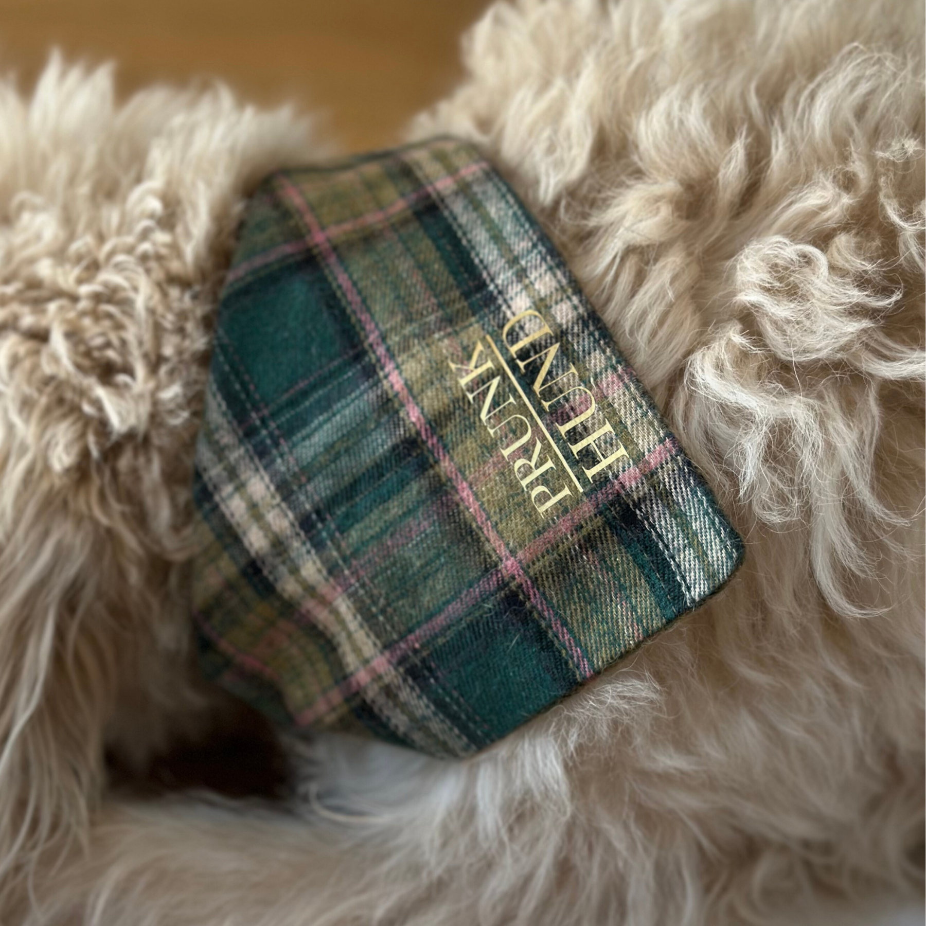 dog bandana WINDSOR