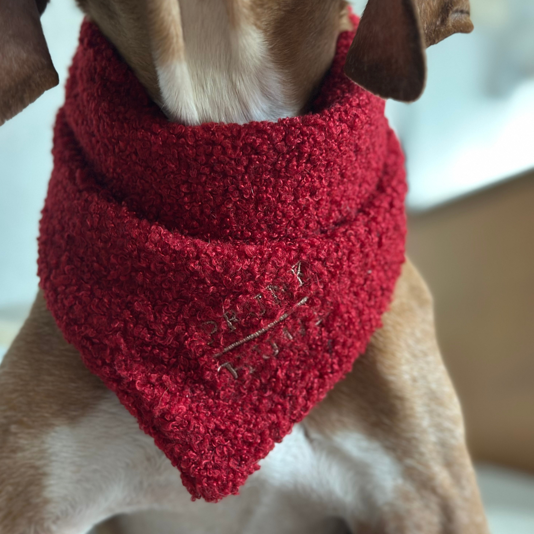 Dog bandana TEDDY tan