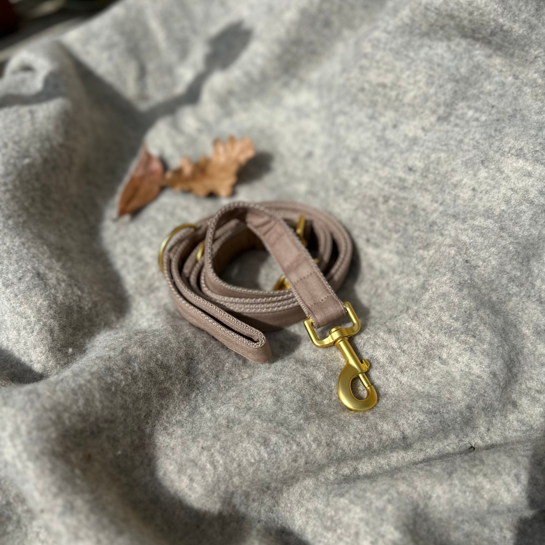 basic tan leash