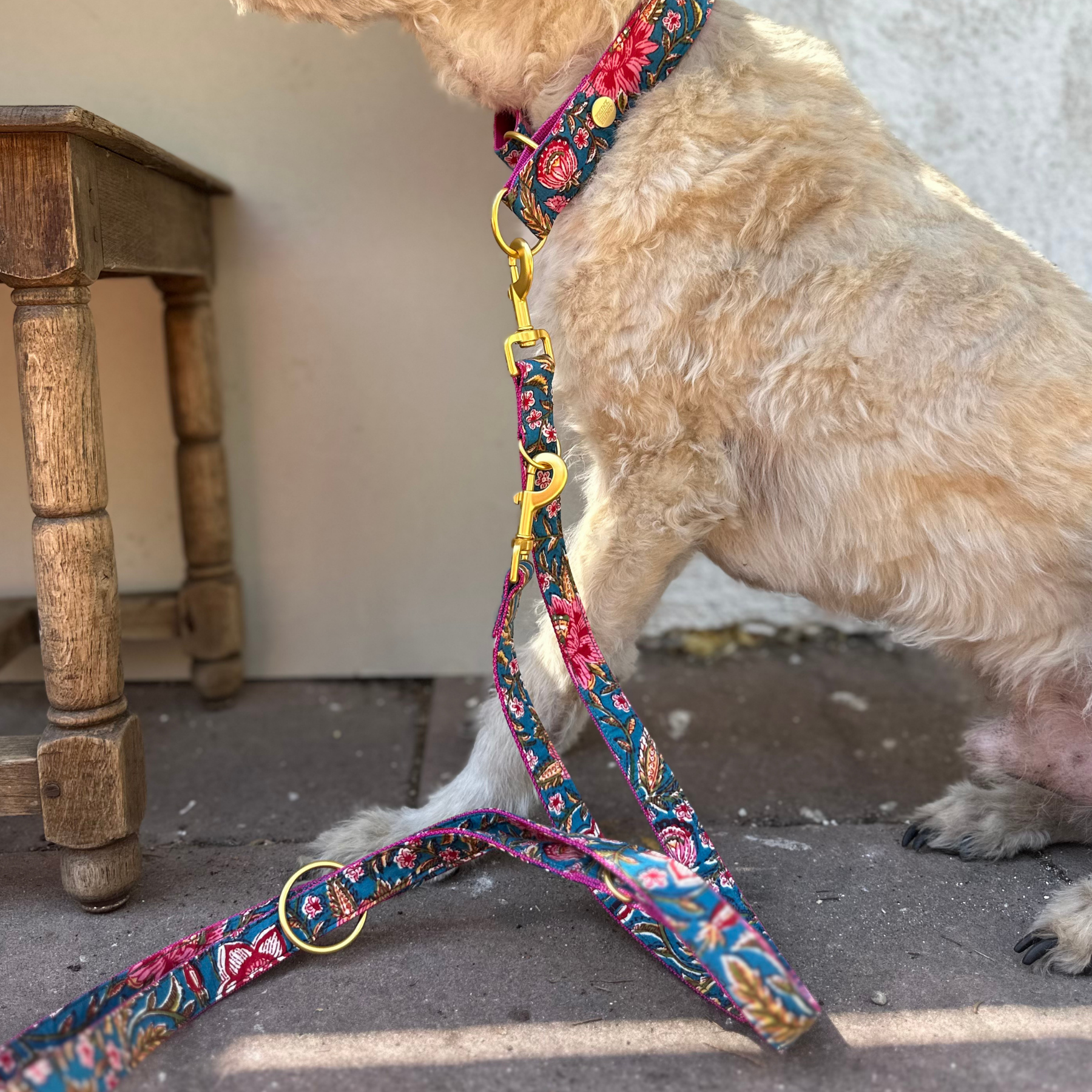 GOA azur leash