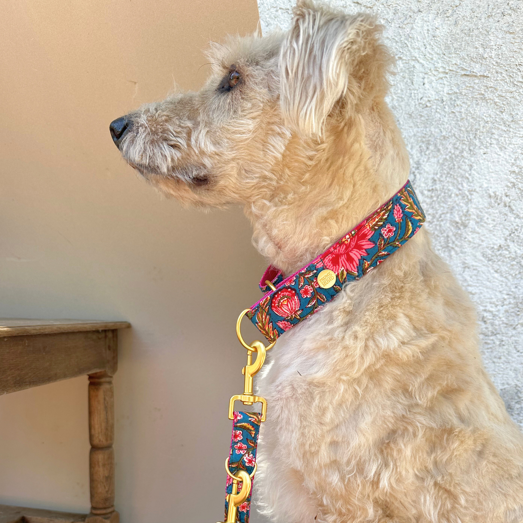 GOA azur leash