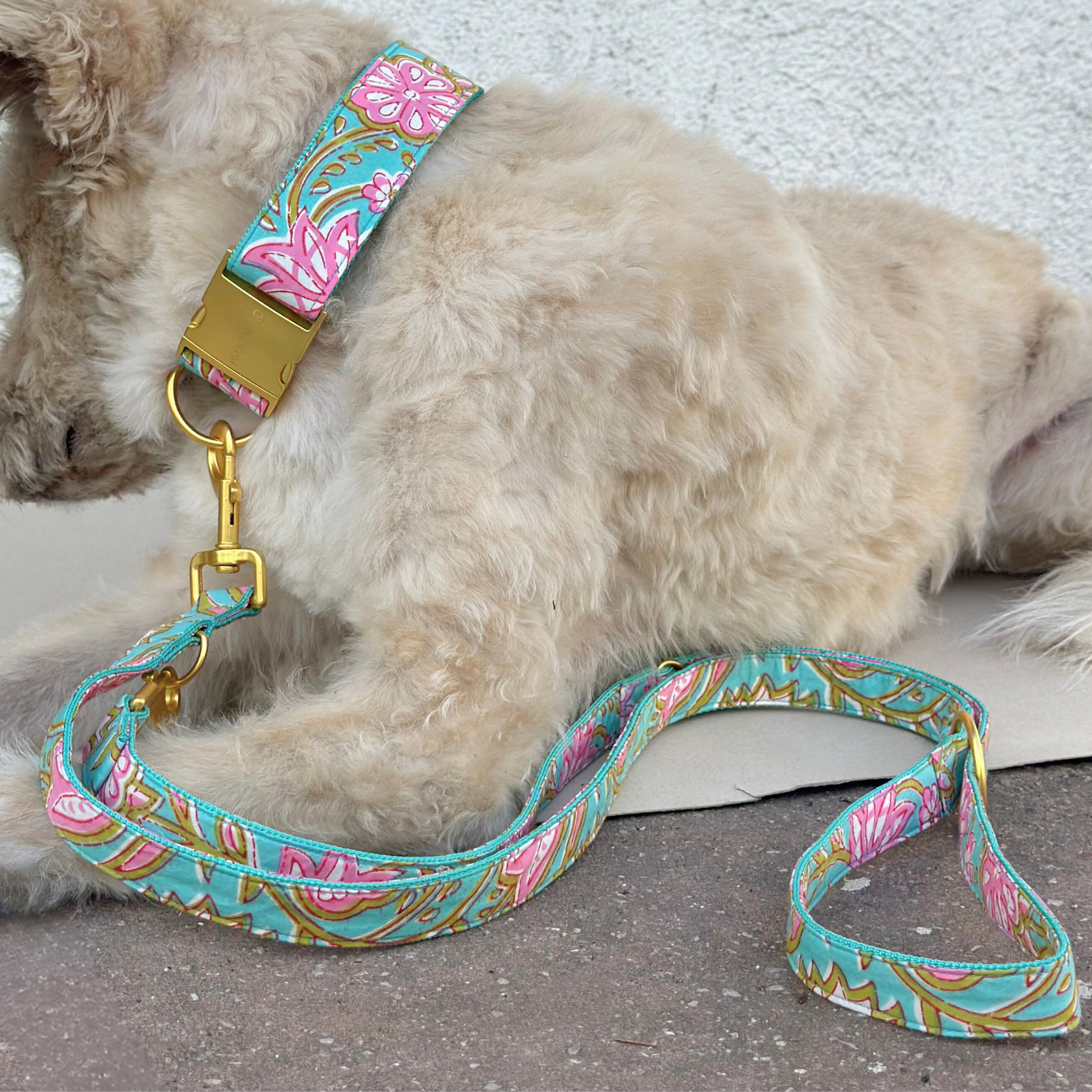GOA aqua leash