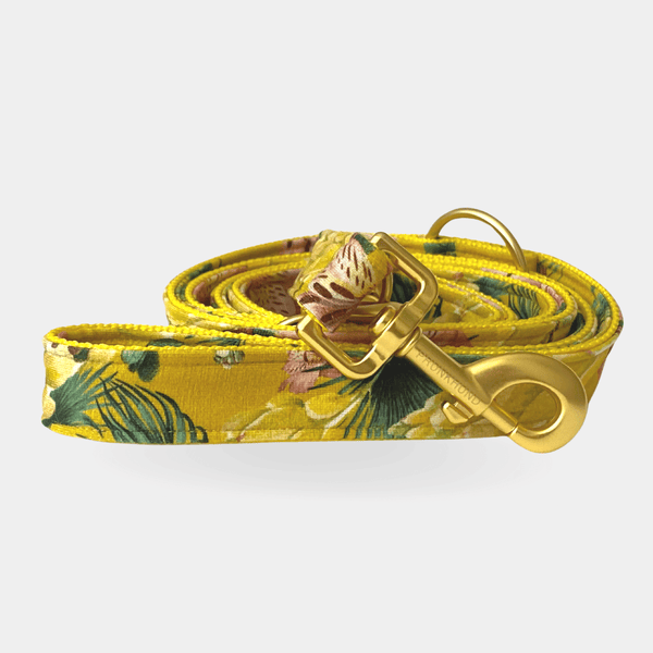 BLOSSOM leash