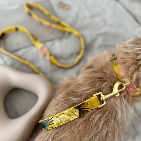 BLOSSOM leash