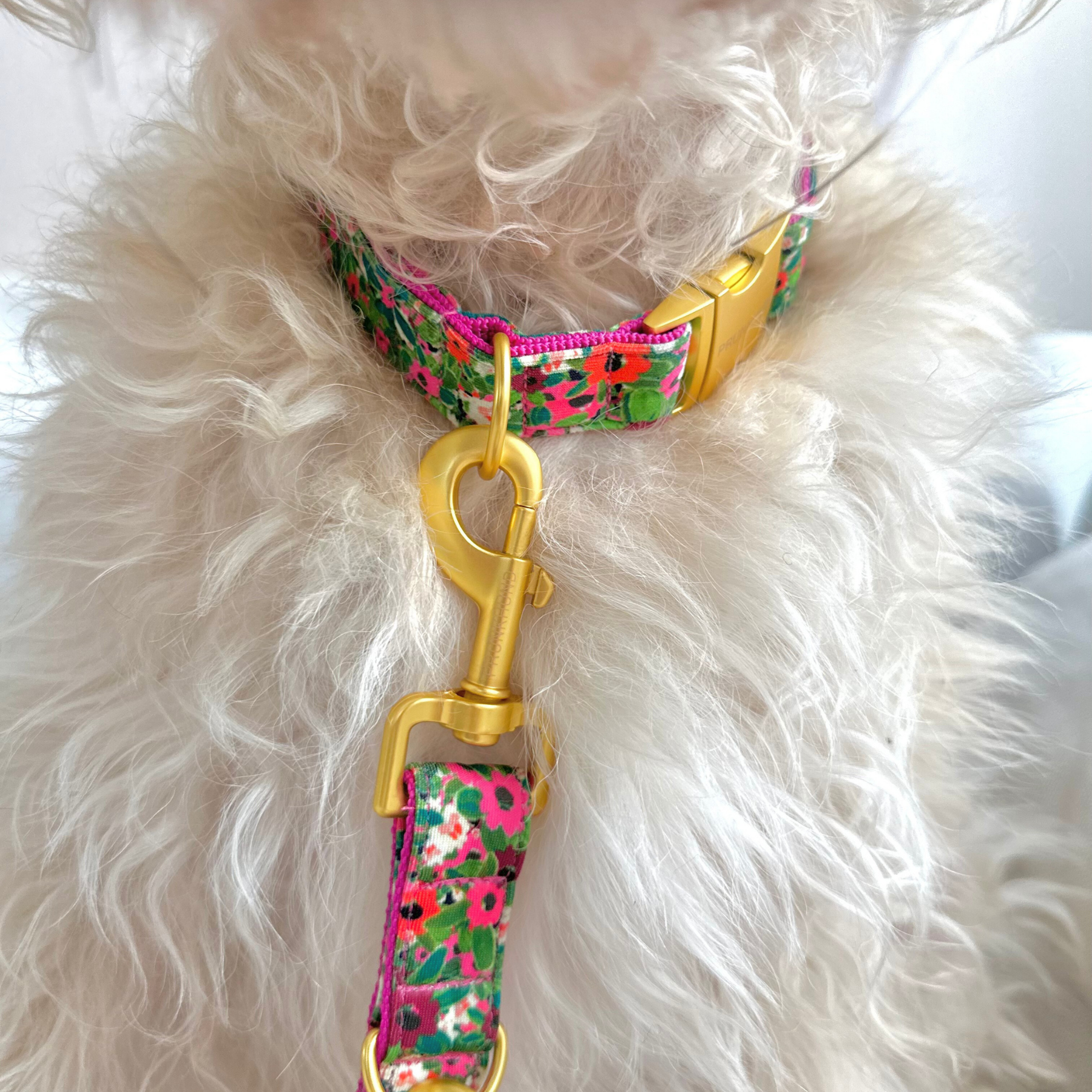 POPPY leash