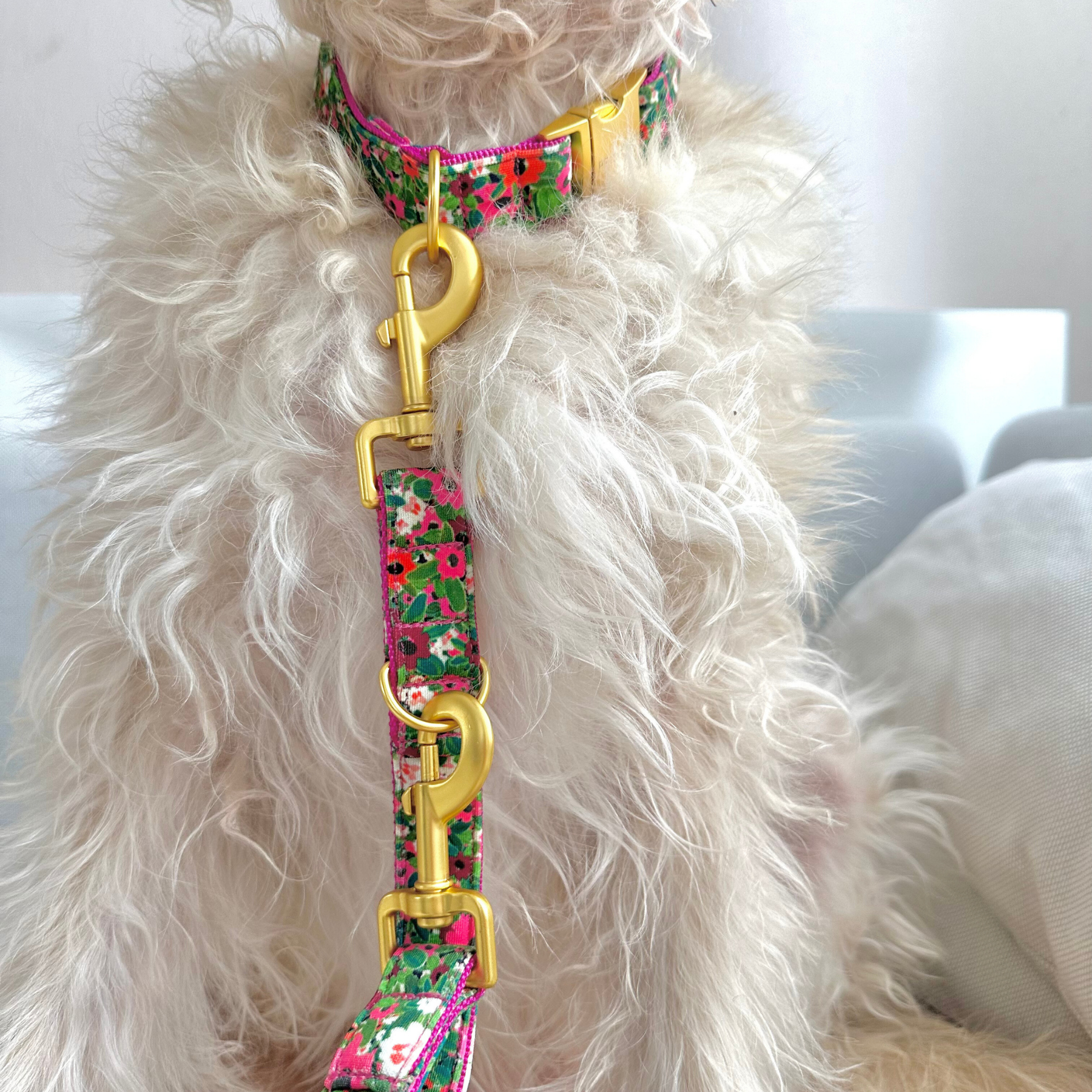 POPPY leash