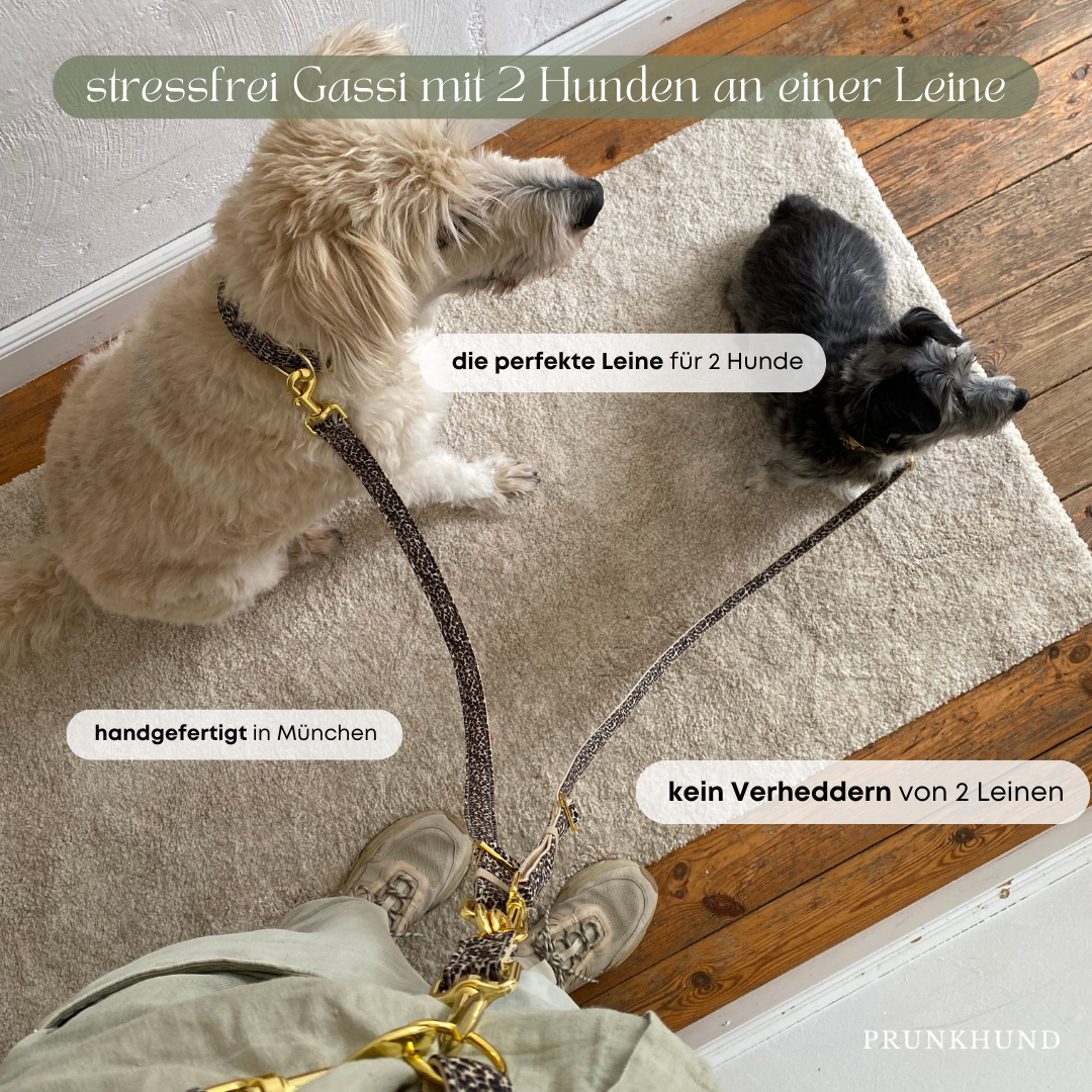 Essential Leine - Bundle für 2 Hunde