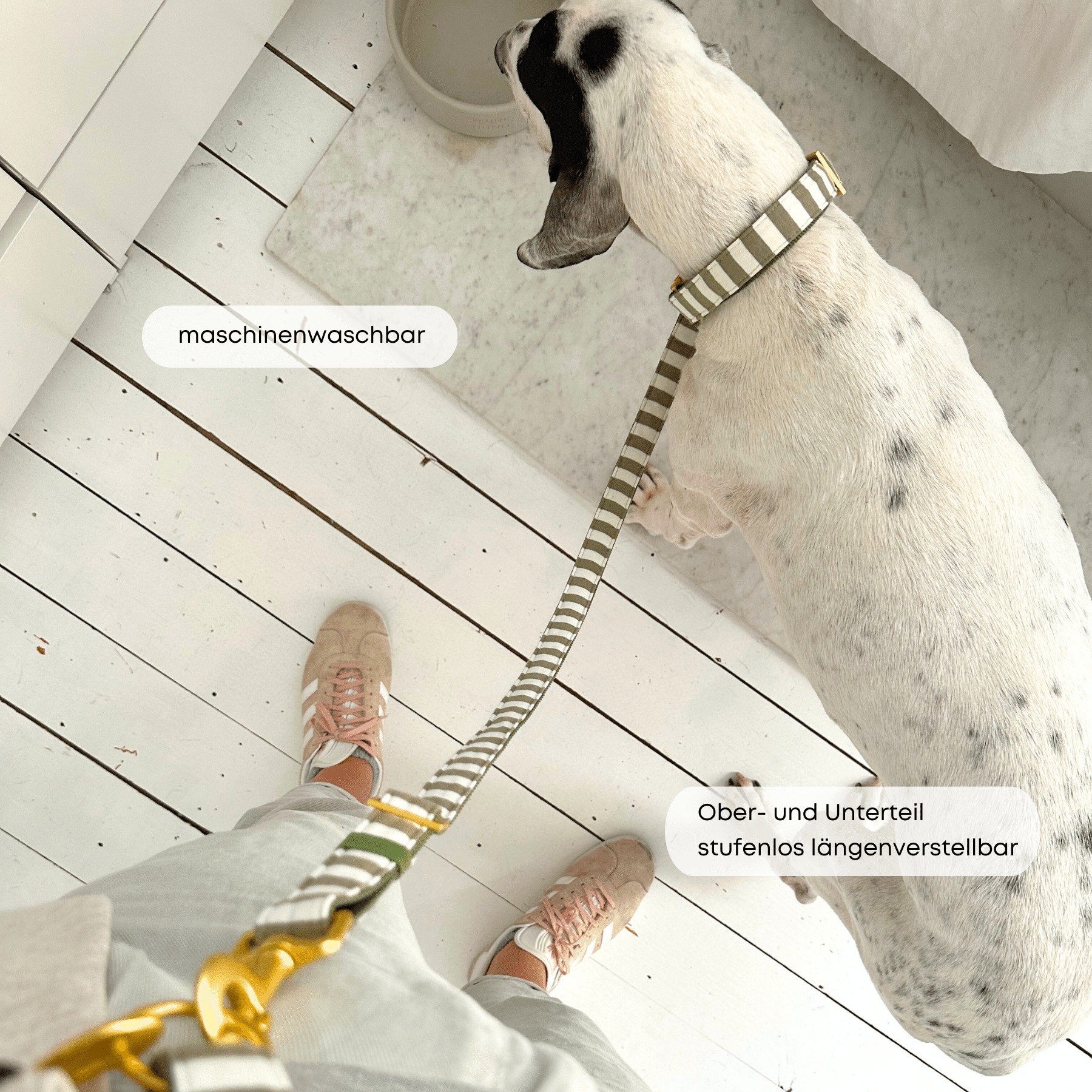 ESSENTIAL leash LIDO olive