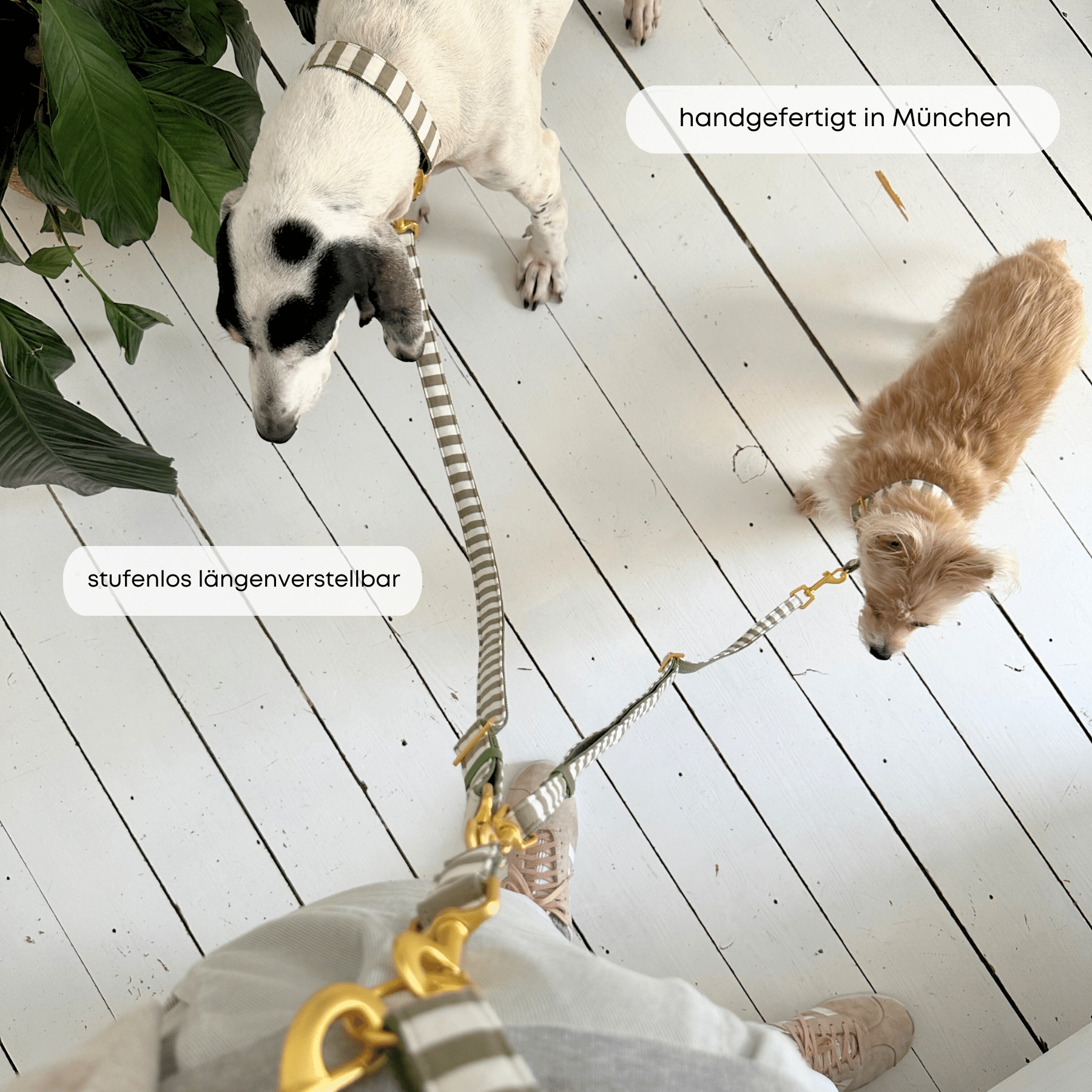 ESSENTIAL ADDITIONAL leash LIDO olive