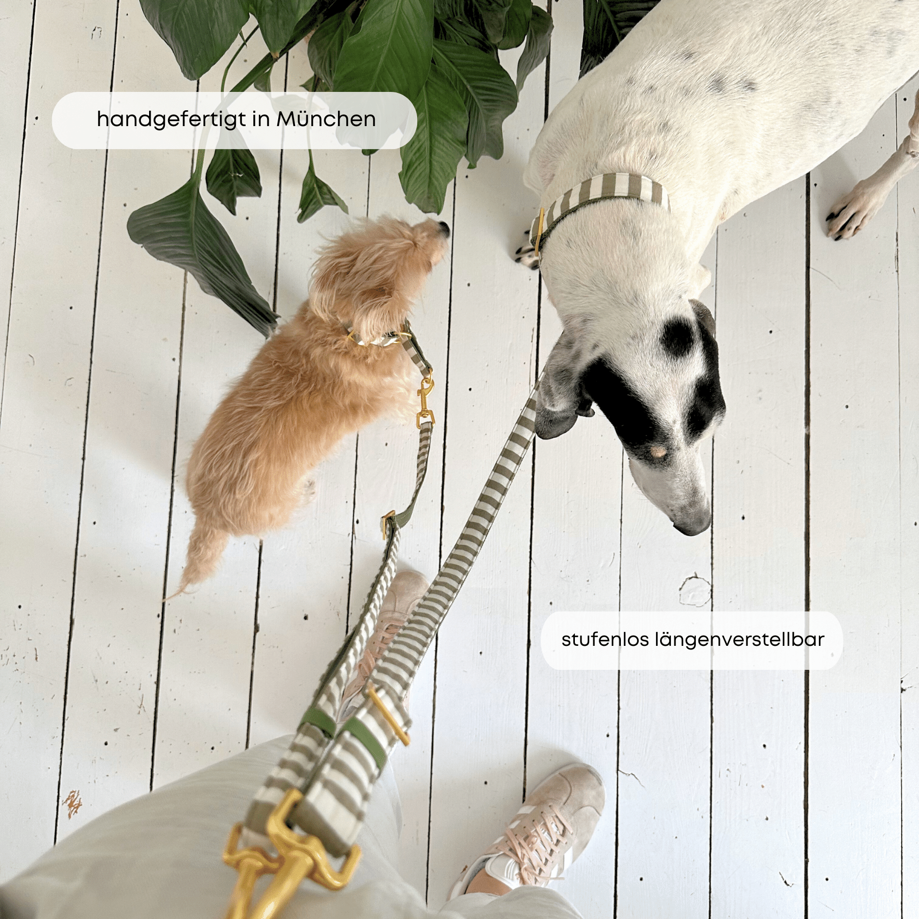 ESSENTIAL ADDITIONAL leash LIDO olive