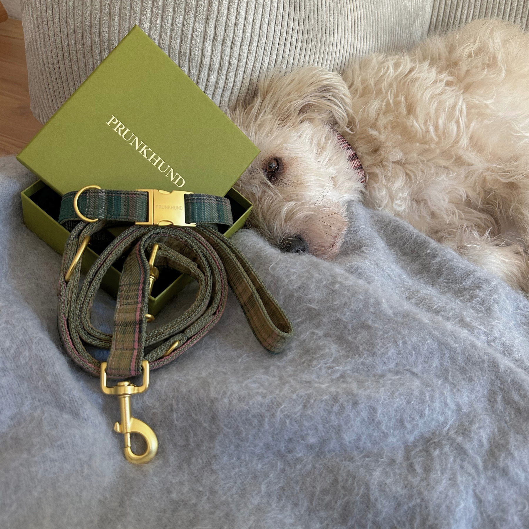 WINDSOR leash