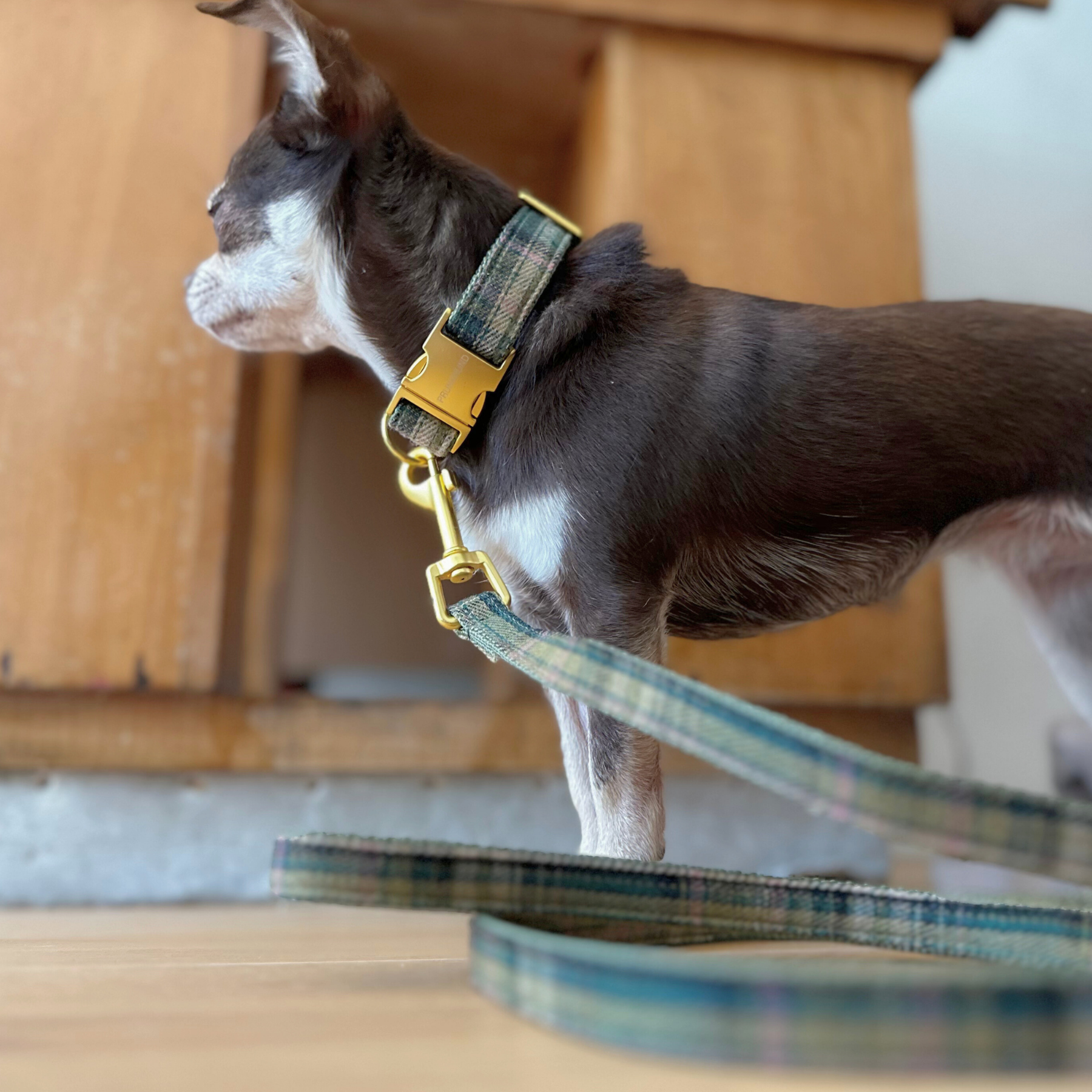 WINDSOR leash