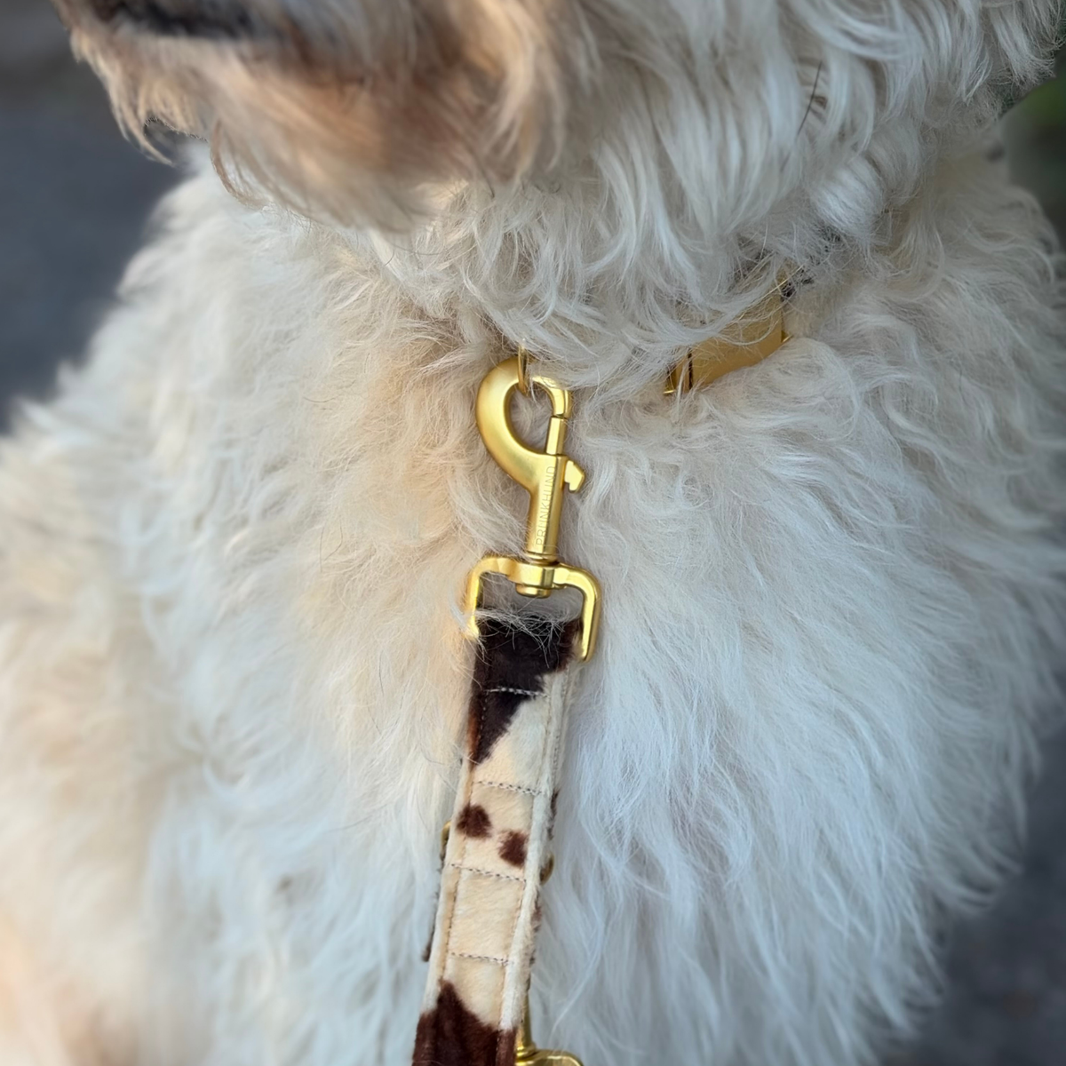 WILD LIFE leash