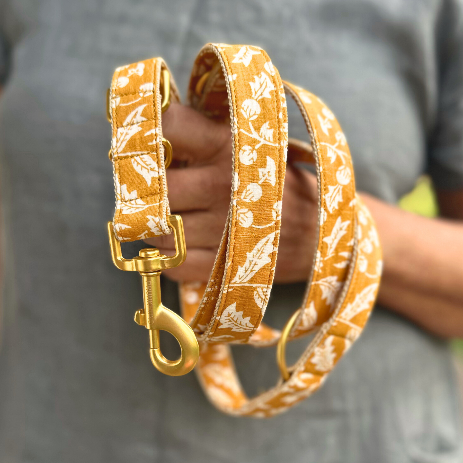 GOA curry leash