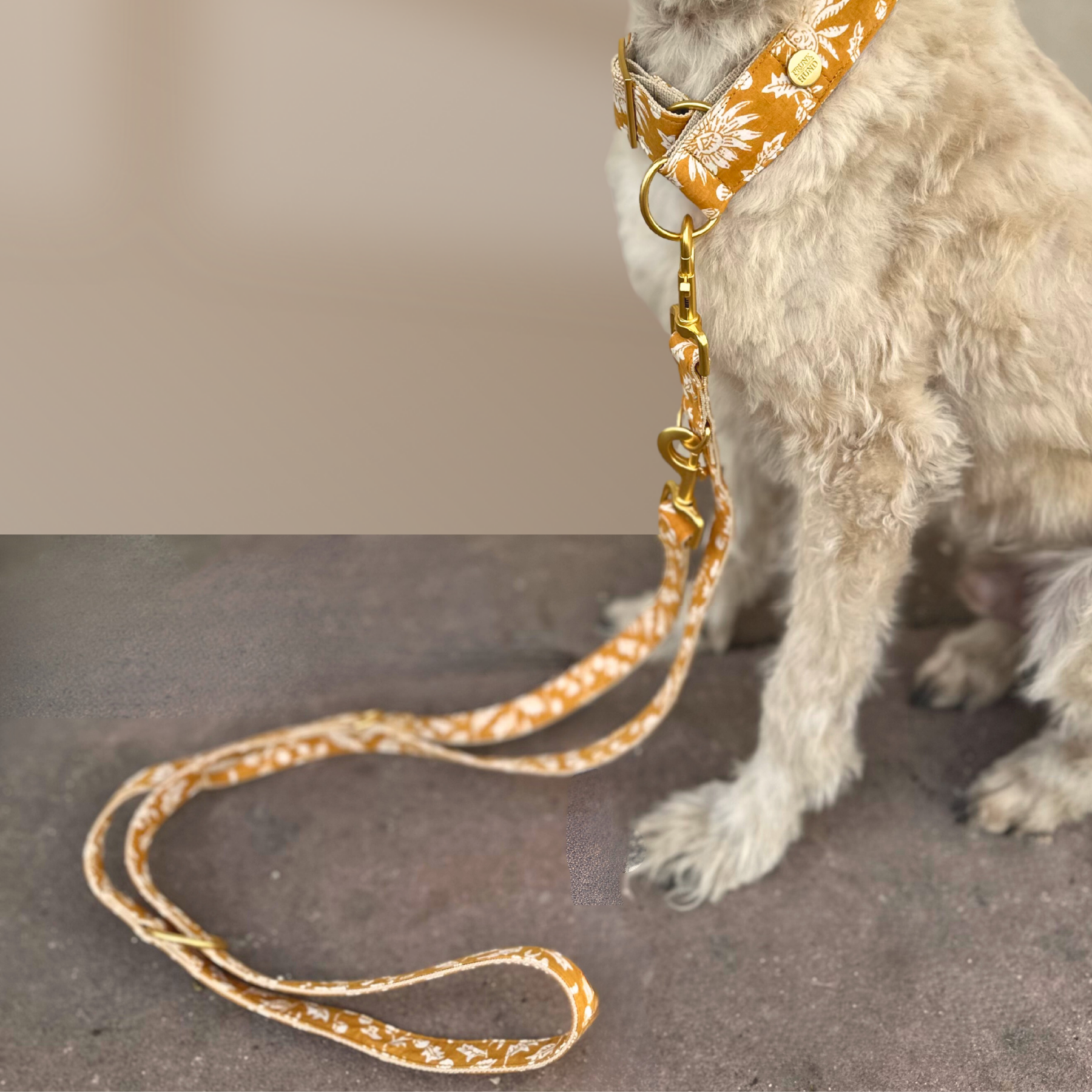 GOA curry leash