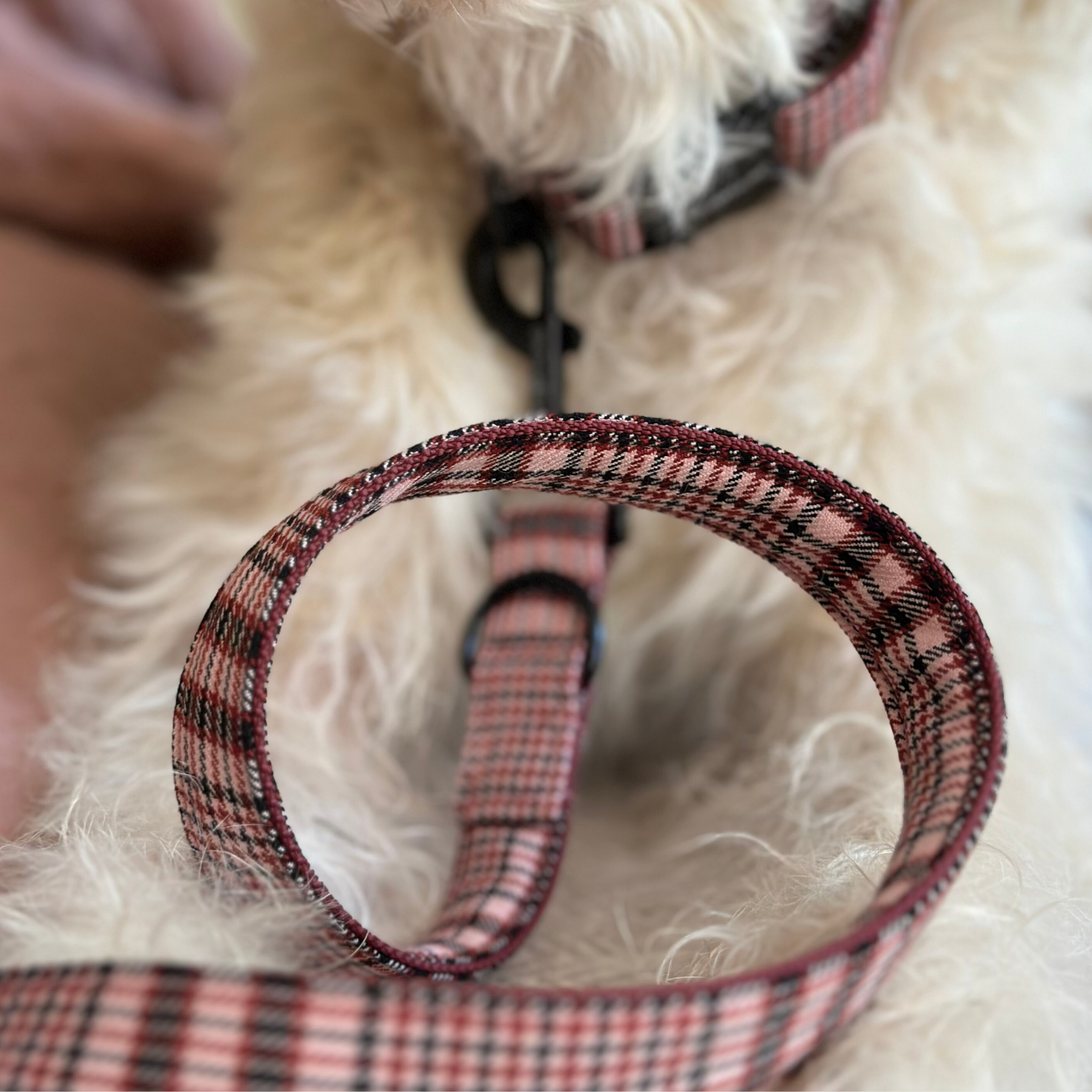 URBAN leash