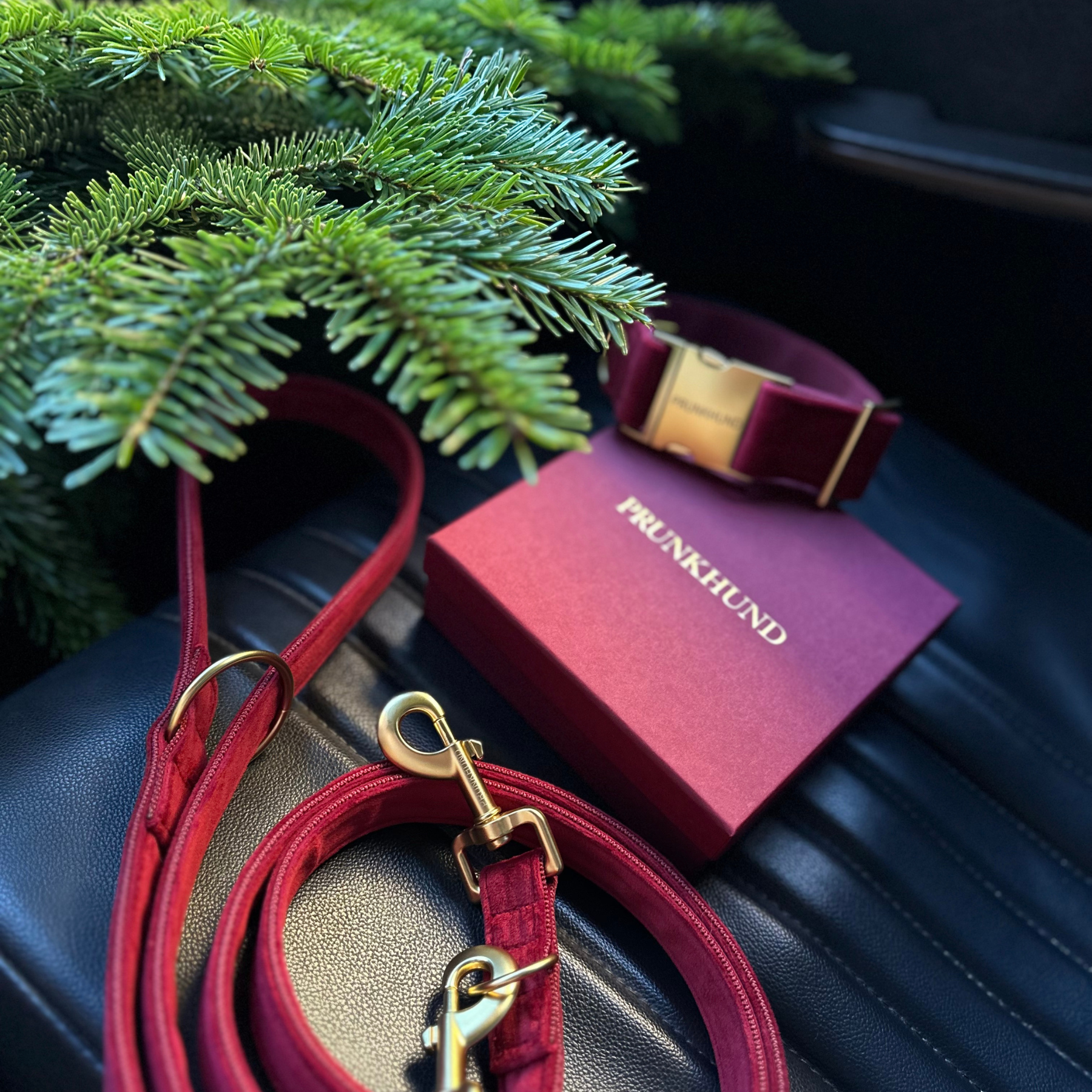 Leash SANTA BABY