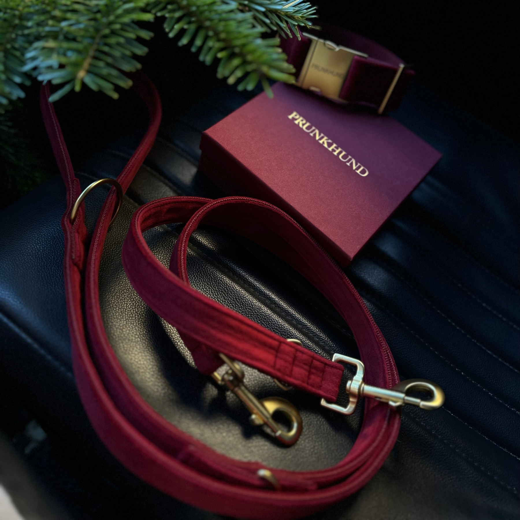 Leash SANTA BABY