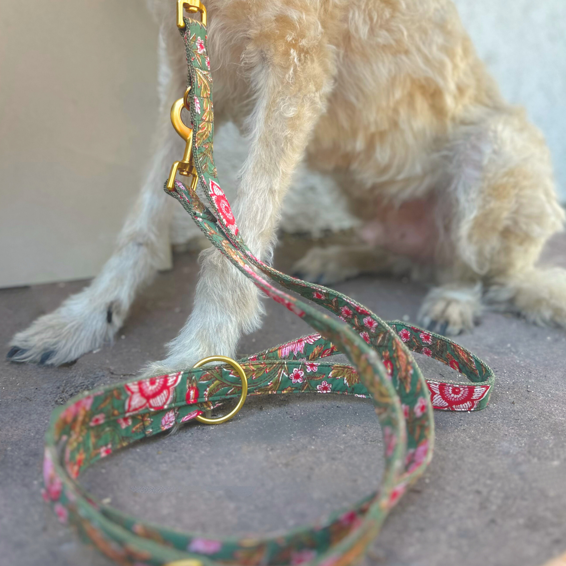 GOA garden leash