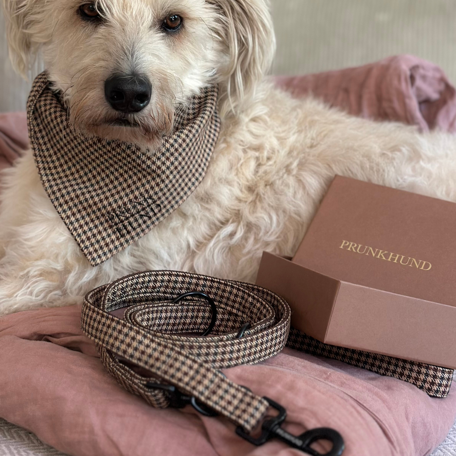 WINDSOR leash